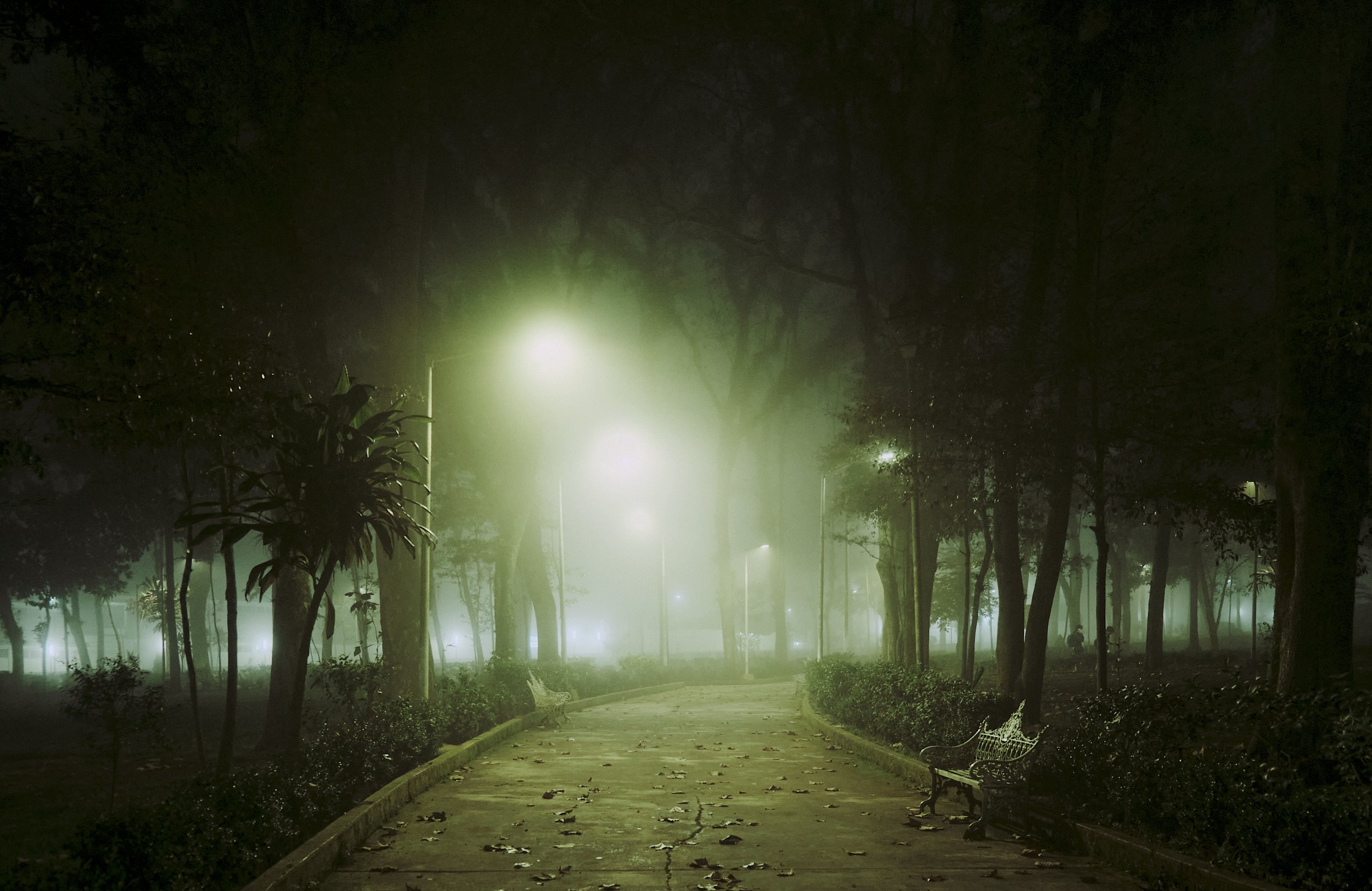 Un parque con árboles y bancos, iluminado por farolas por la noche, con neblina y hojas en el suelo.