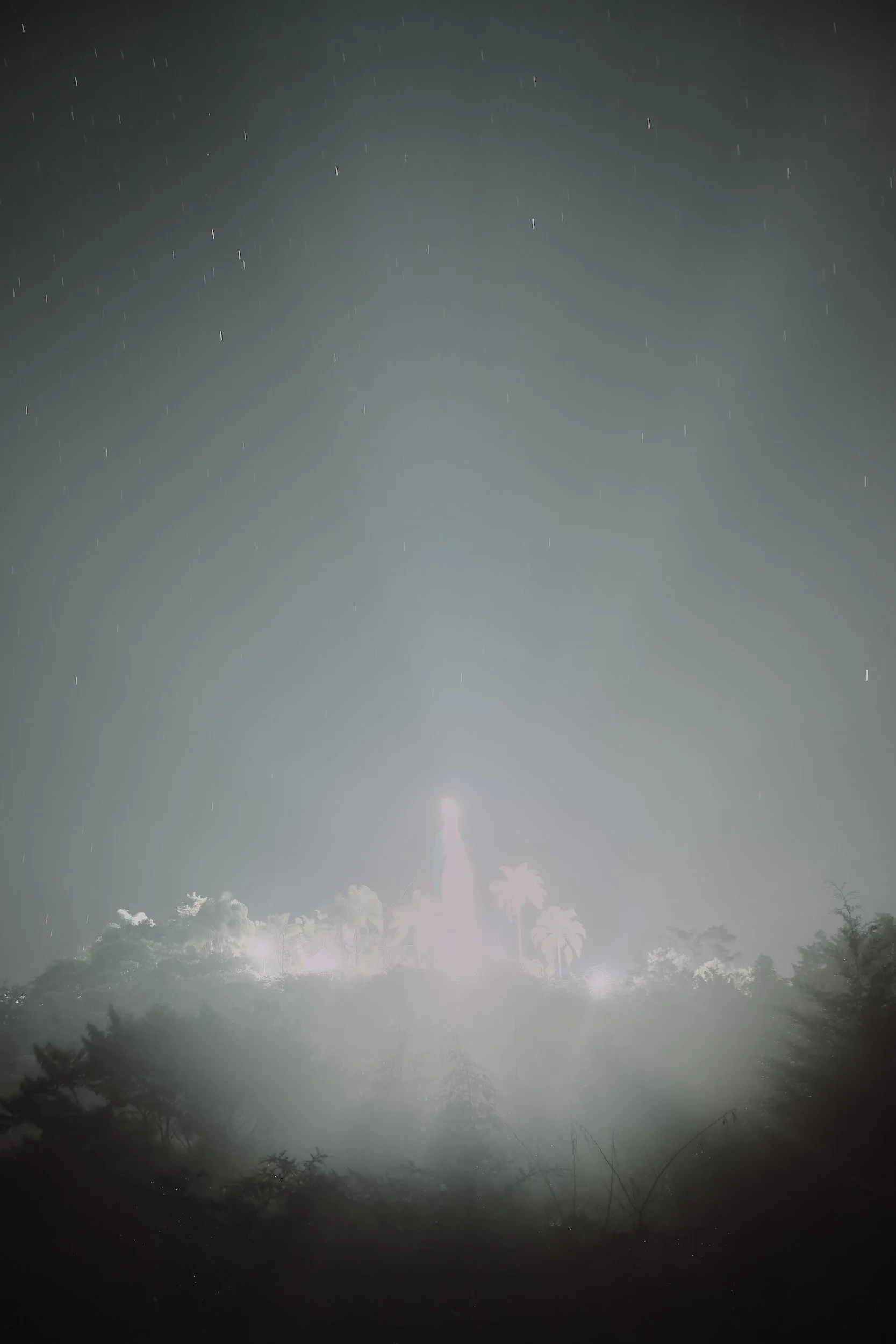 Imagen de una noche con estrellas y un cohete en explosión en el cielo, con vegetación en primer plano.