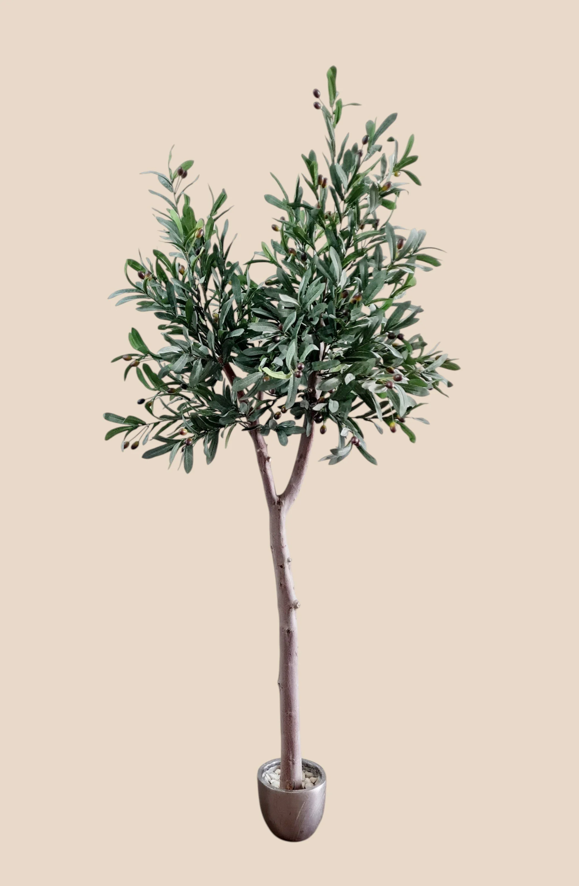 Artificial Olive Tree- natural Branch 180cm