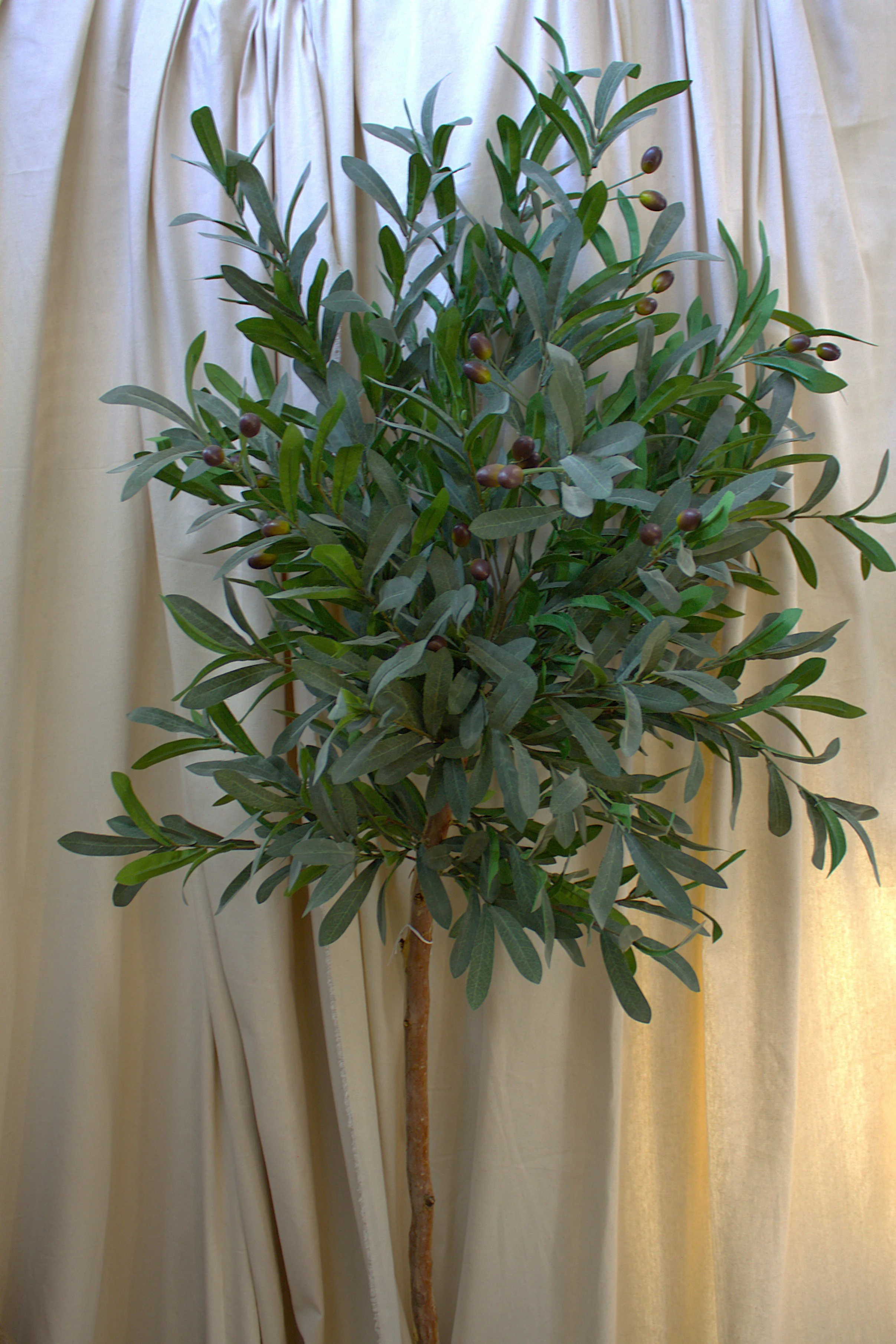 Artificial Olive Tree on Real Branch 180cm
