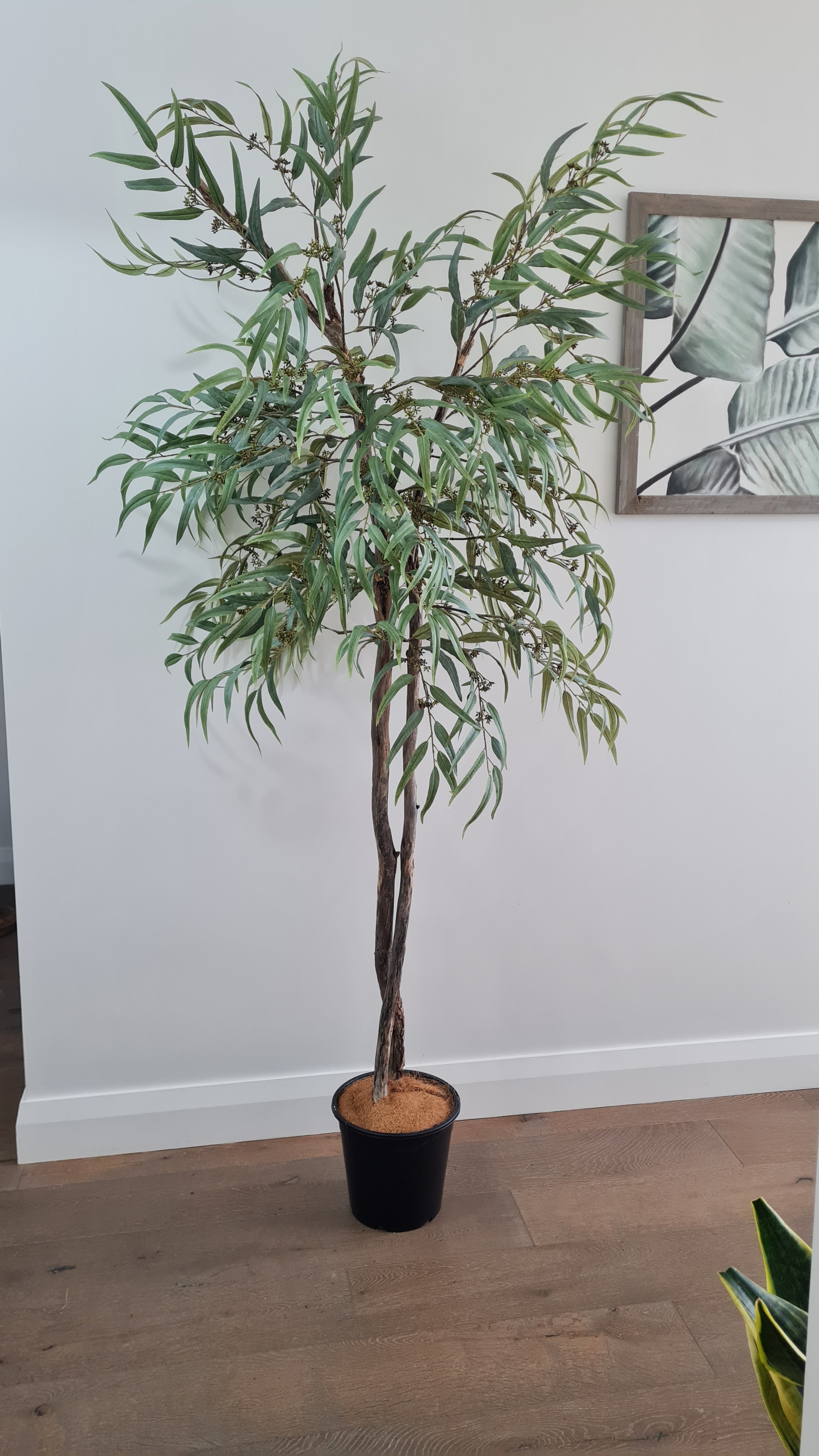 20260122_160048.jpg (Copy)