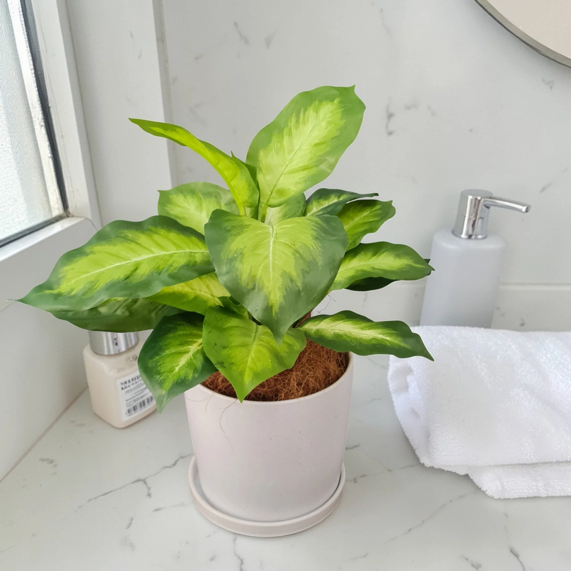 20260116_171703 (2).jpg