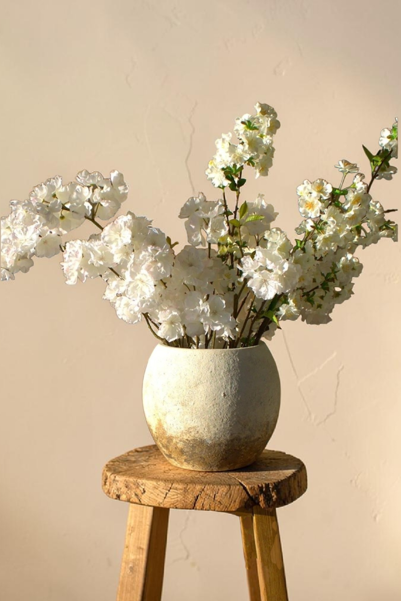 Photoroom-20260512_230822524.png
