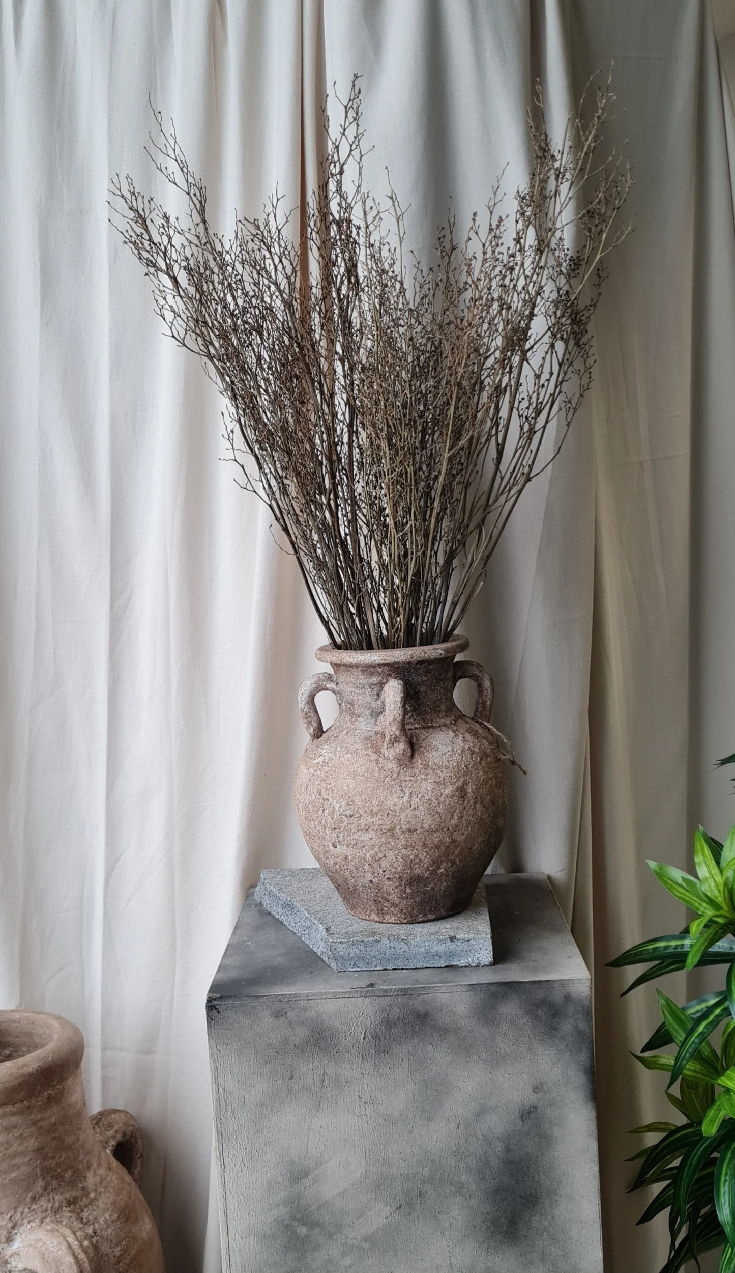 The Woodland Stem Vessel