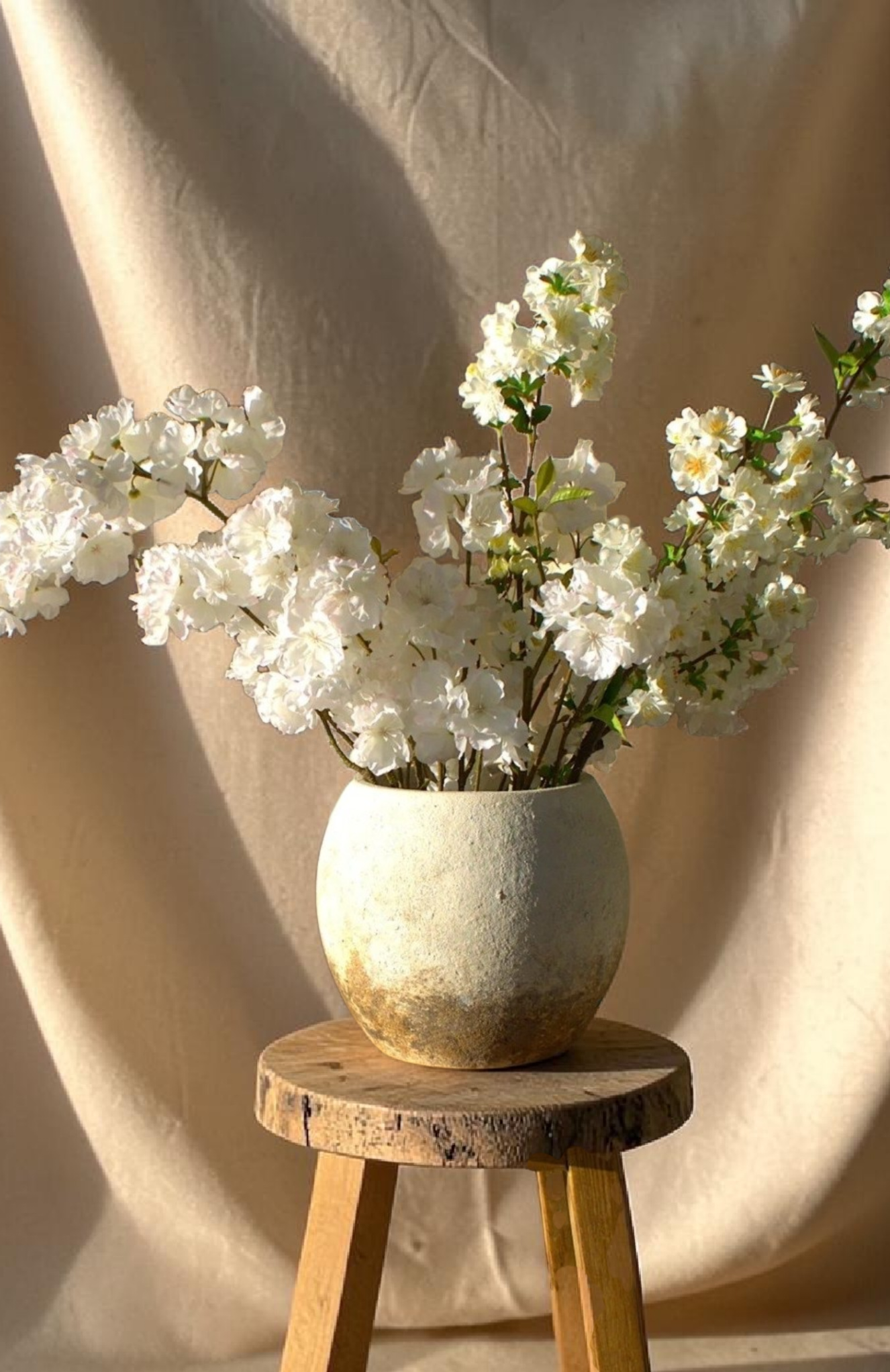 Photoroom-20260512_230807249.png