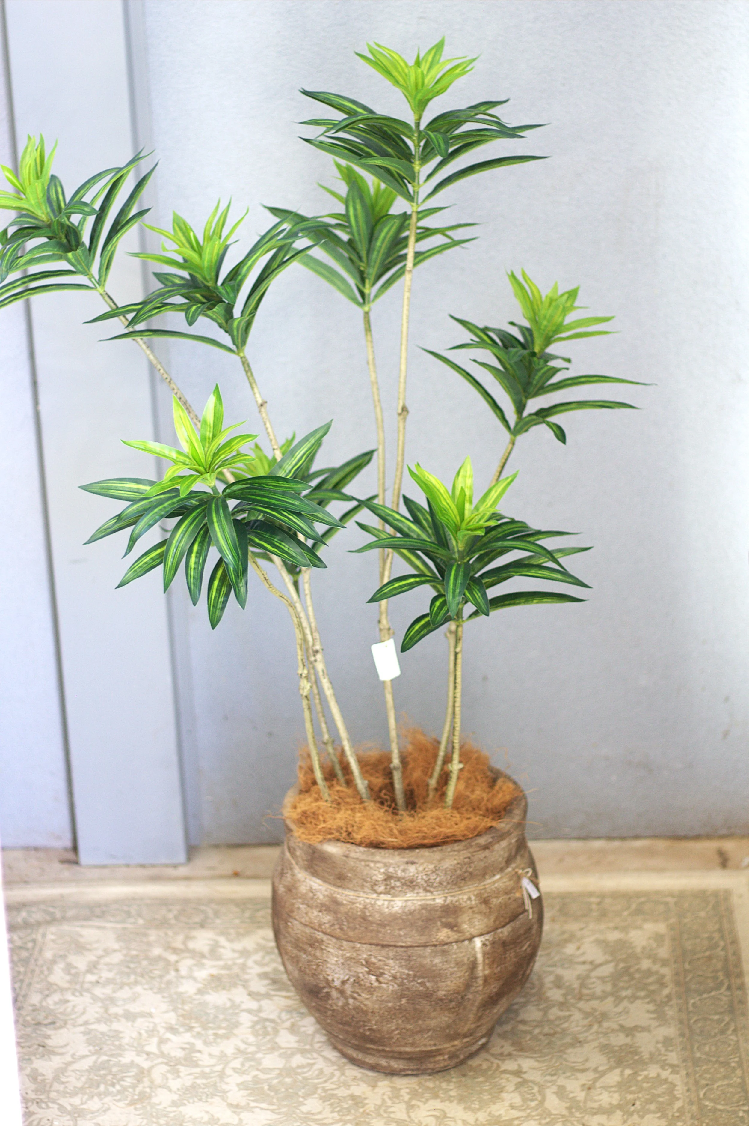 Artificial Dracaena Wild tree