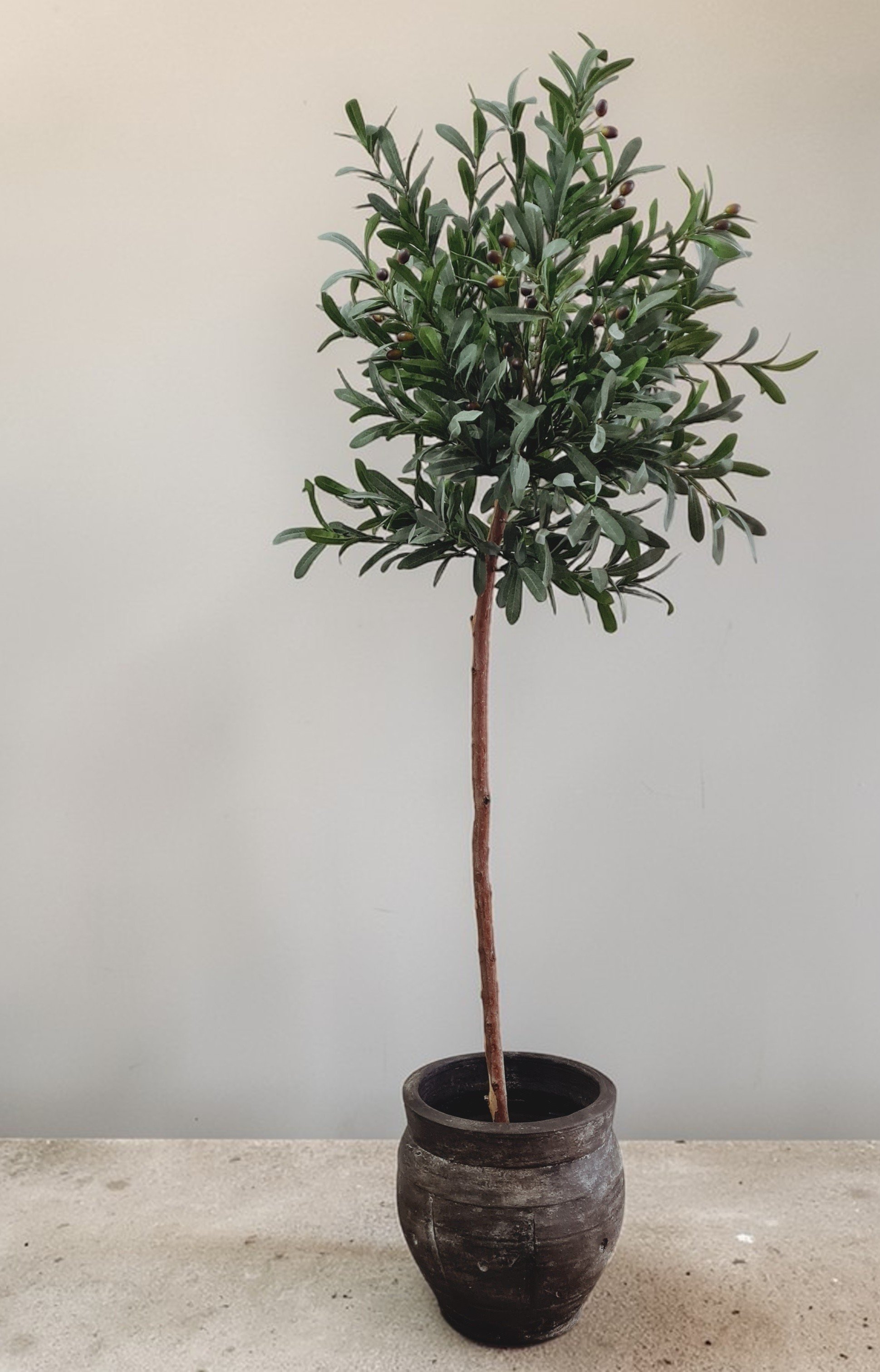 1000008389 (2) (1).jpg