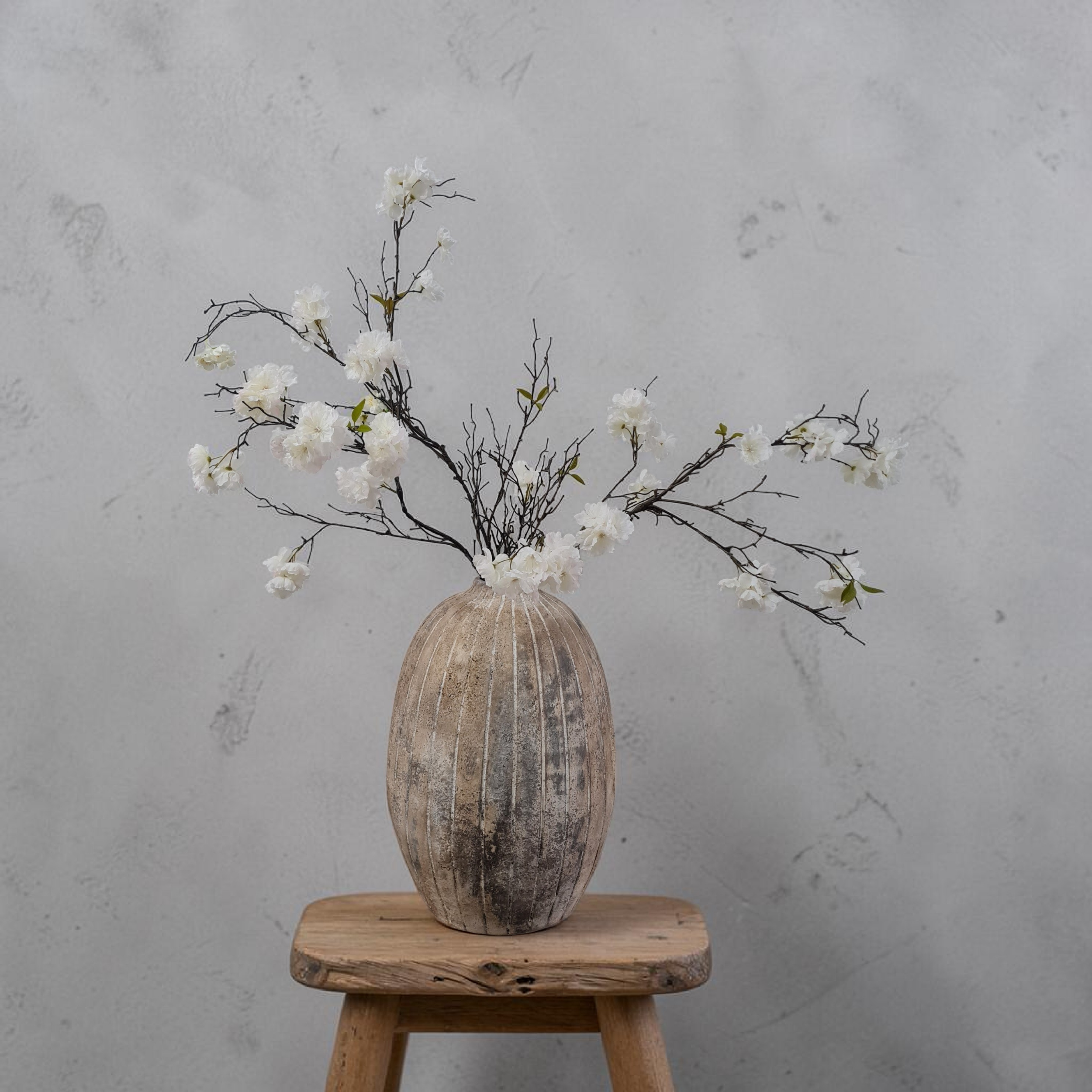 processed_Photoroom-20260513_182535396.png