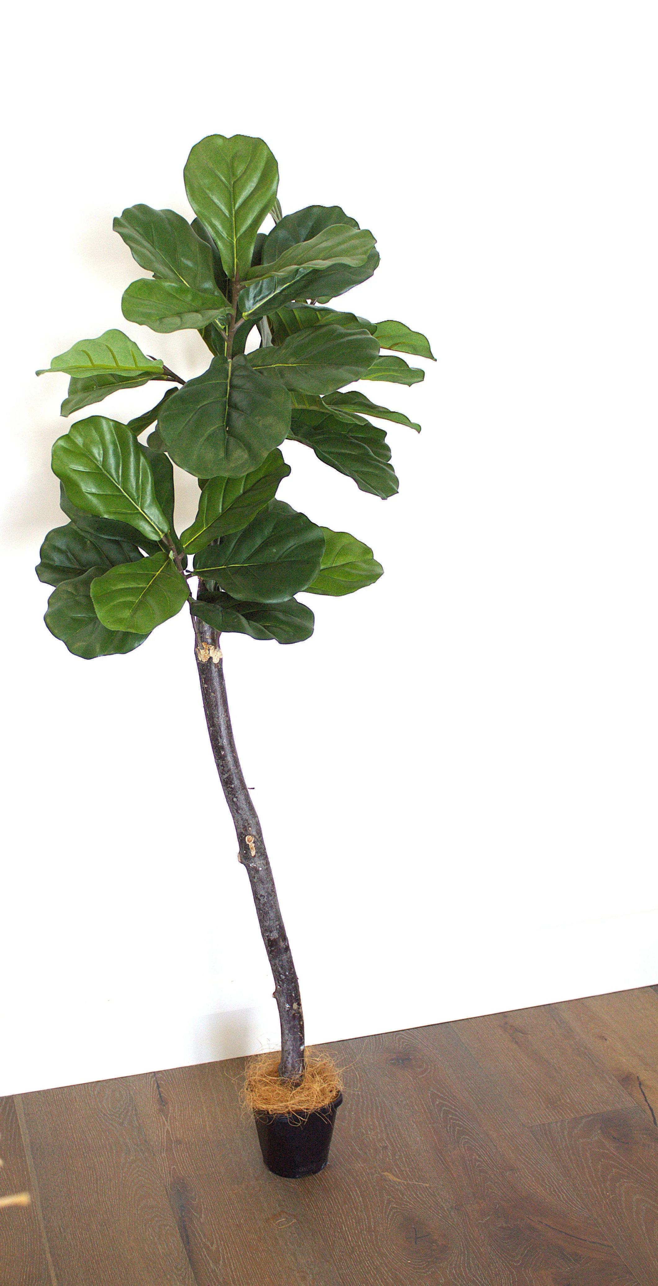 Artificial Fiddle Leaf Fig Tree