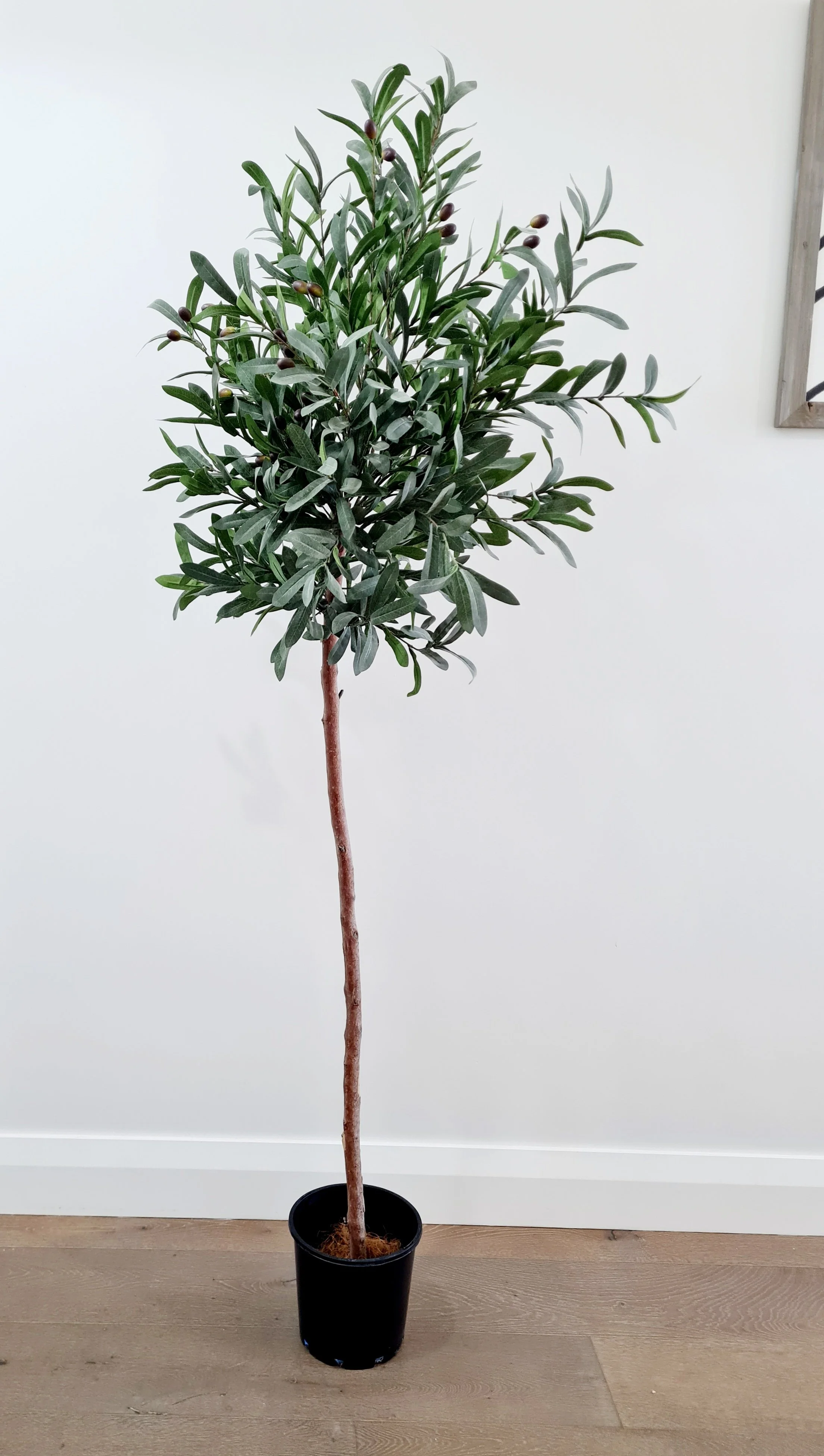 Artificial olive tree with natural wood branch