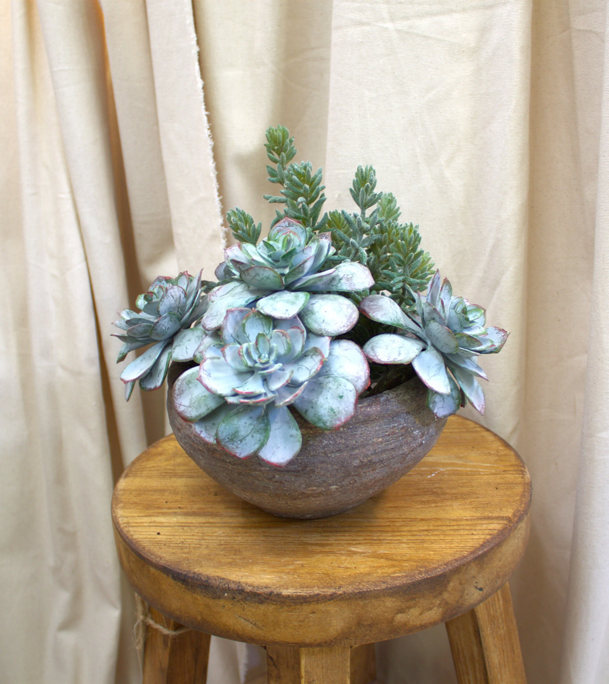 Faux Succulent bowl