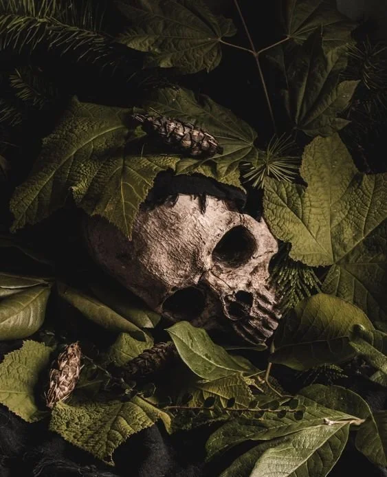 A human skull surrounded by green leaves and two caterpillars.