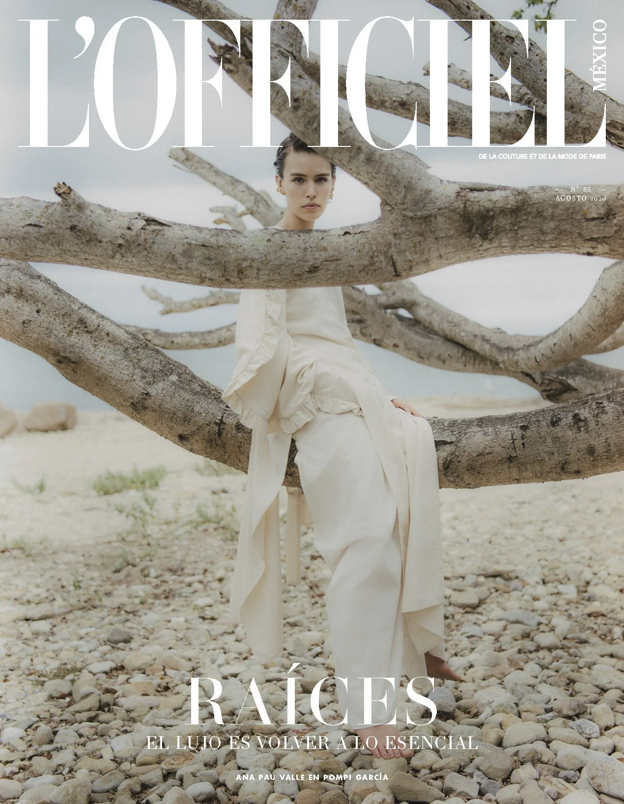 Primer_Portada LO-65.jpg