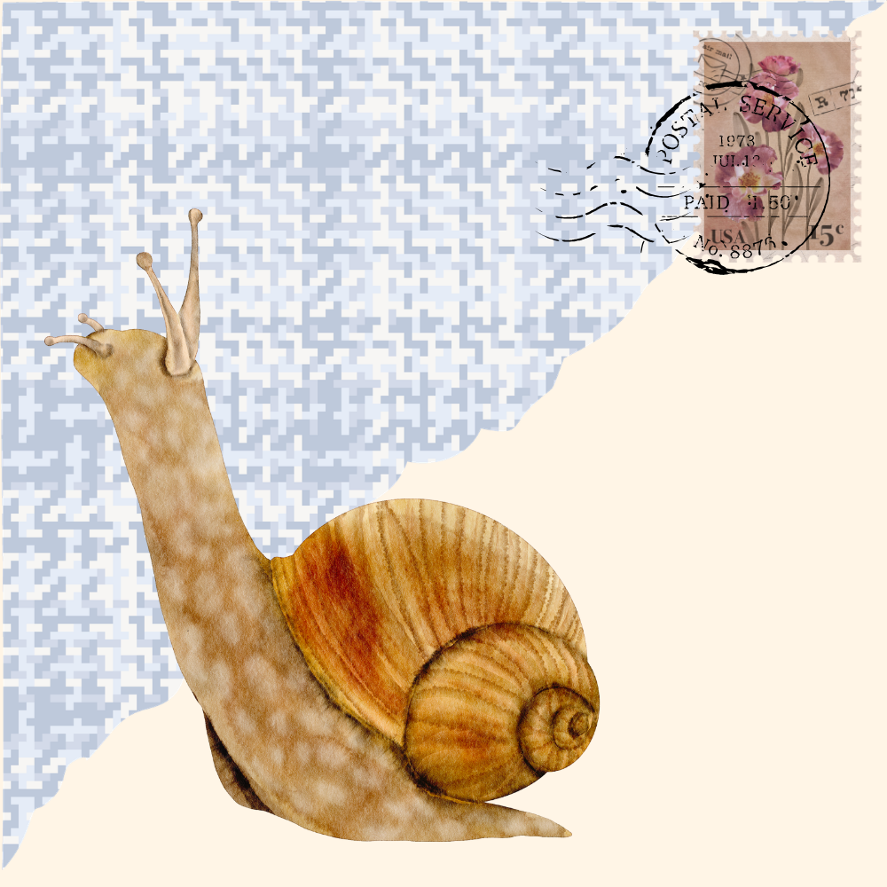 An illustration of a snail in front of a piece of torn blue paper. In the corner is a postage stamp and postal service inked stamp.