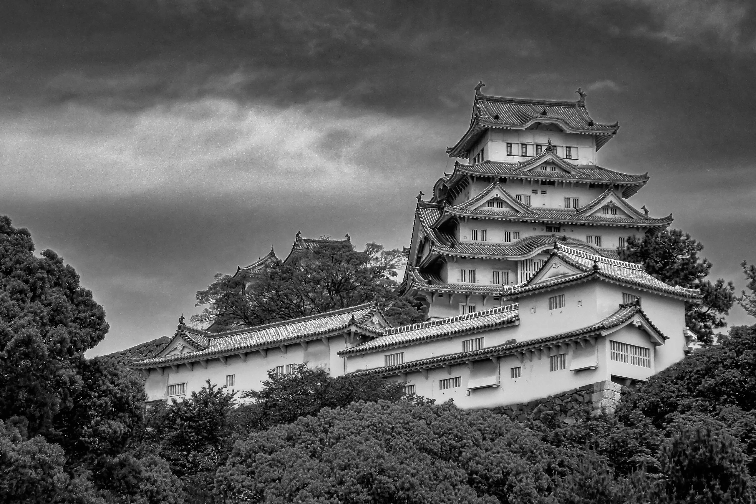 099 The White Hero in Himeji.jpg