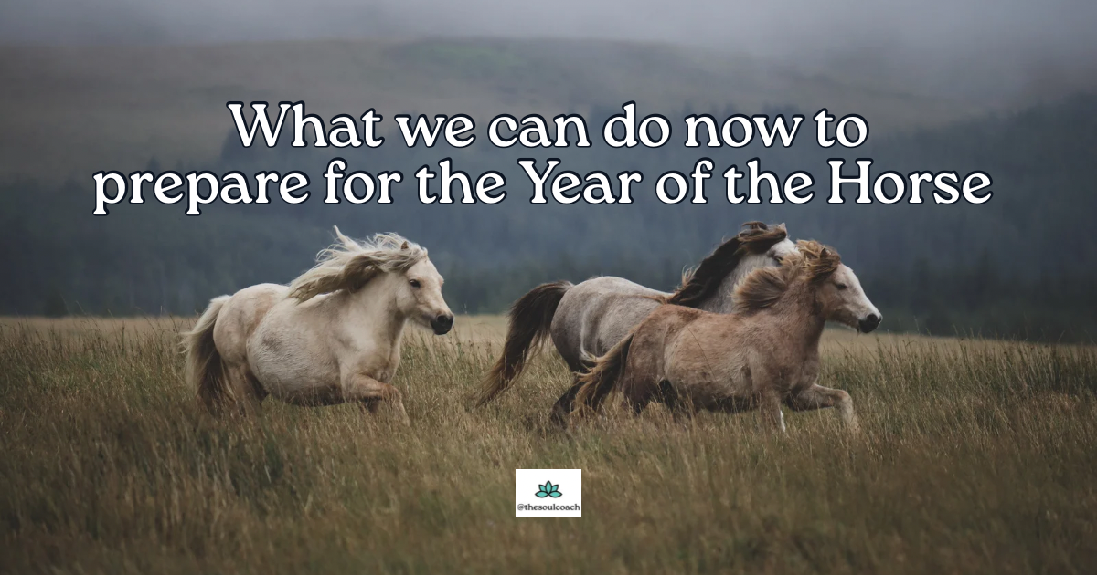 What we can do now to prepare for the year of the horse