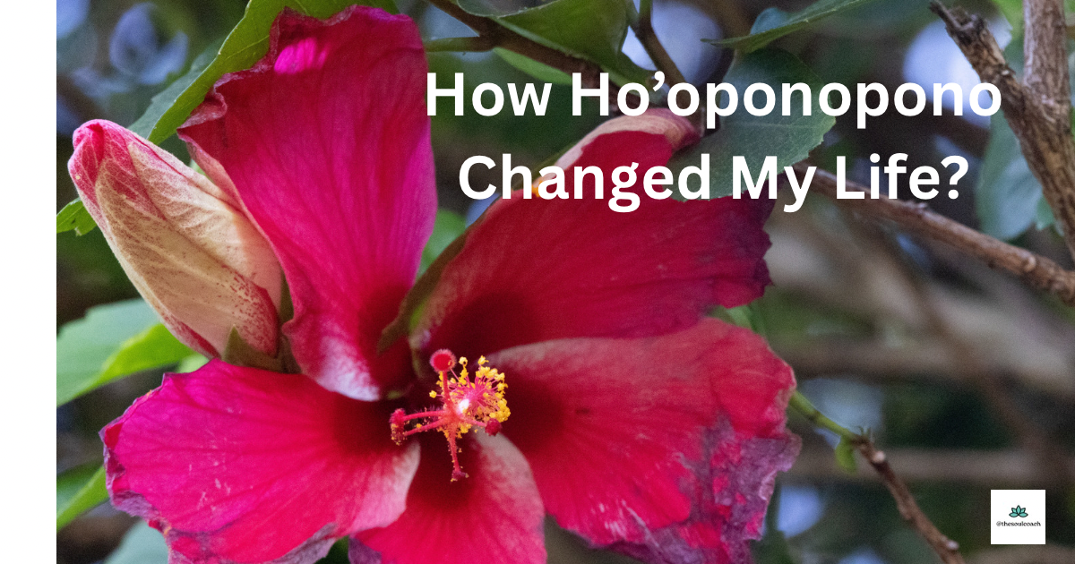 Ho’oponopono: The Practice That Changed How it changed my life!