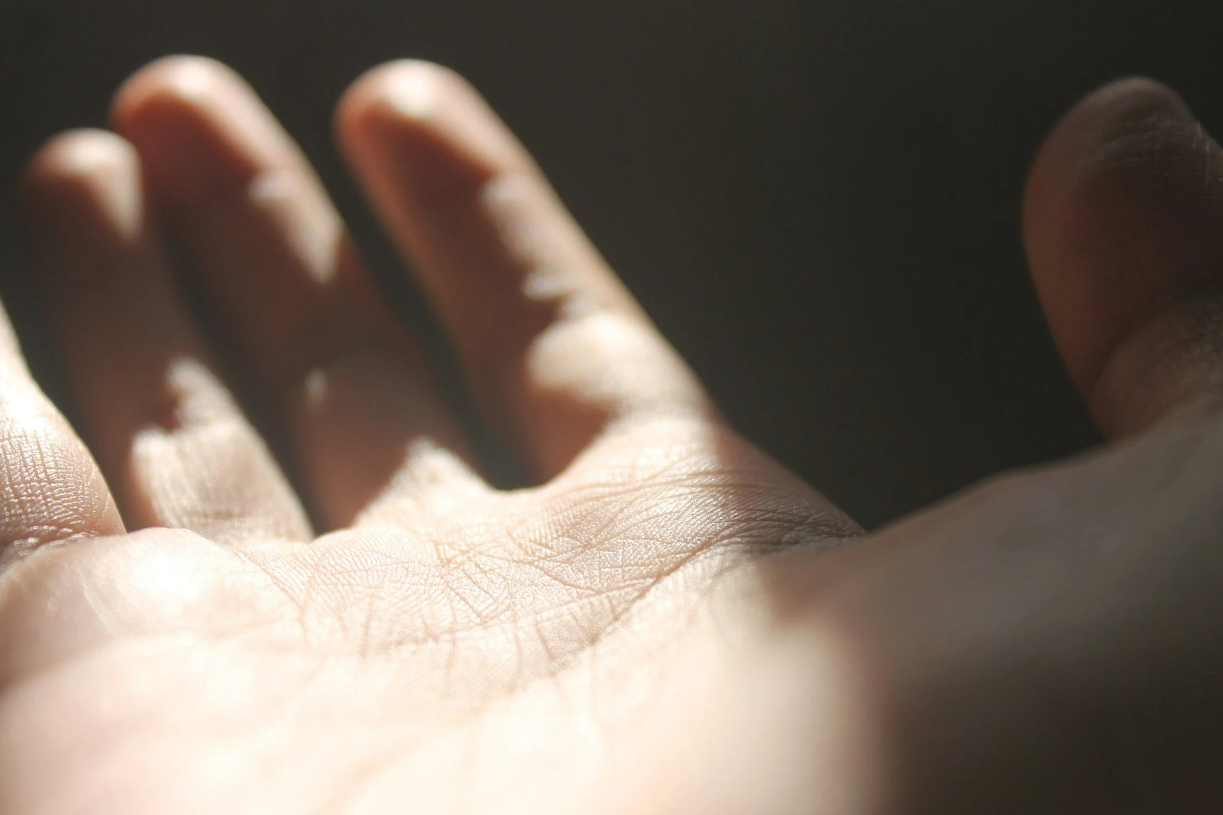 The Sun Line in Palmistry: What It Reveals About Success and Creativity