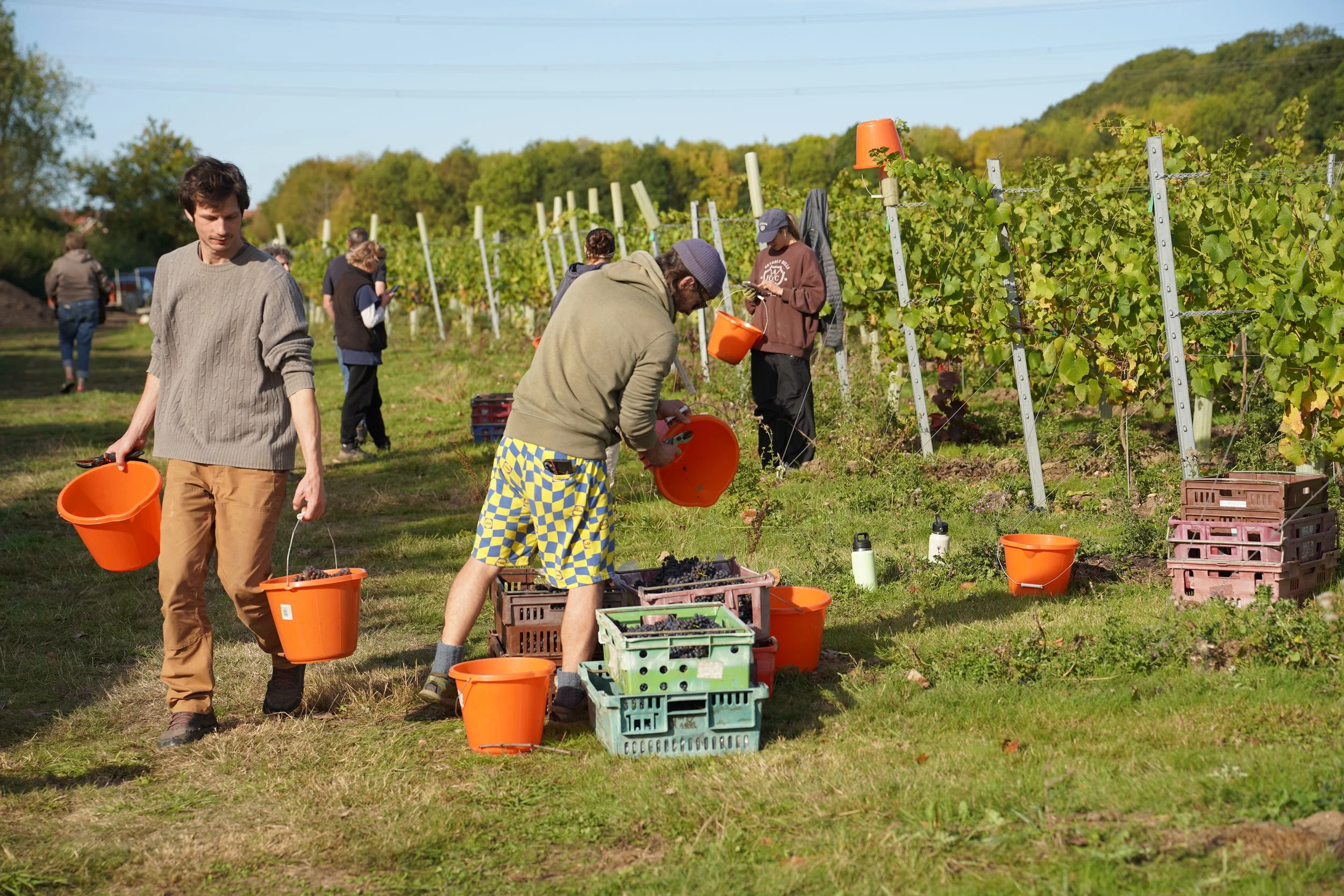 From growing vines to making wine….Dad’s “Retirement Project”