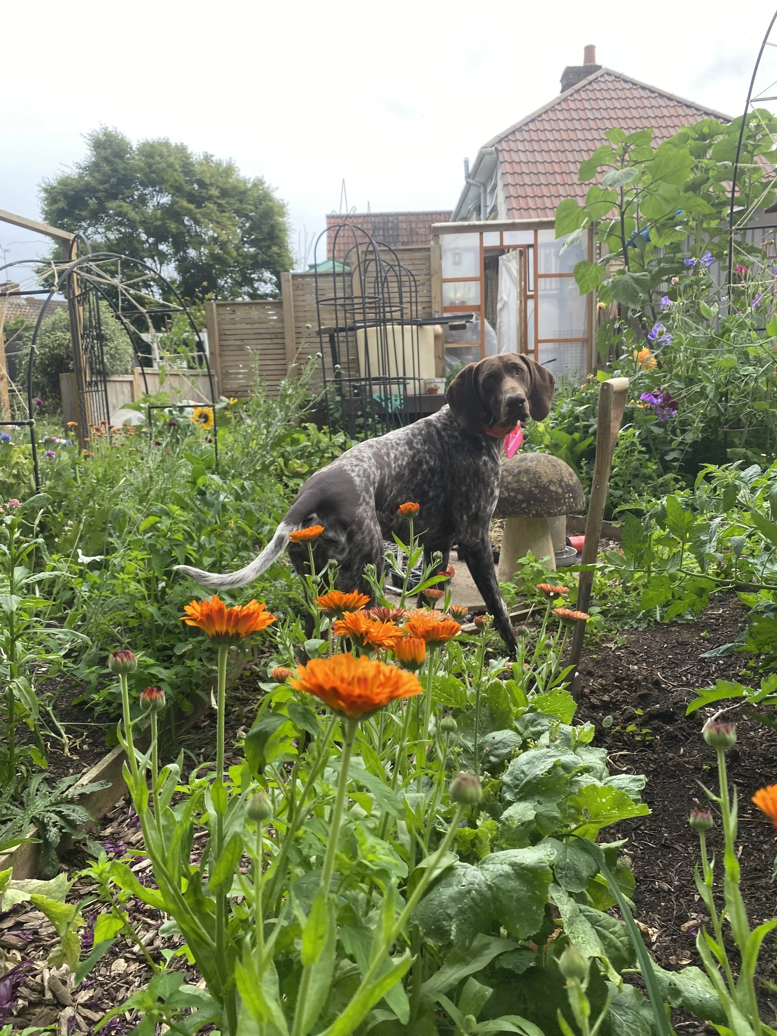 2025-06-22 20.08.30.jpg