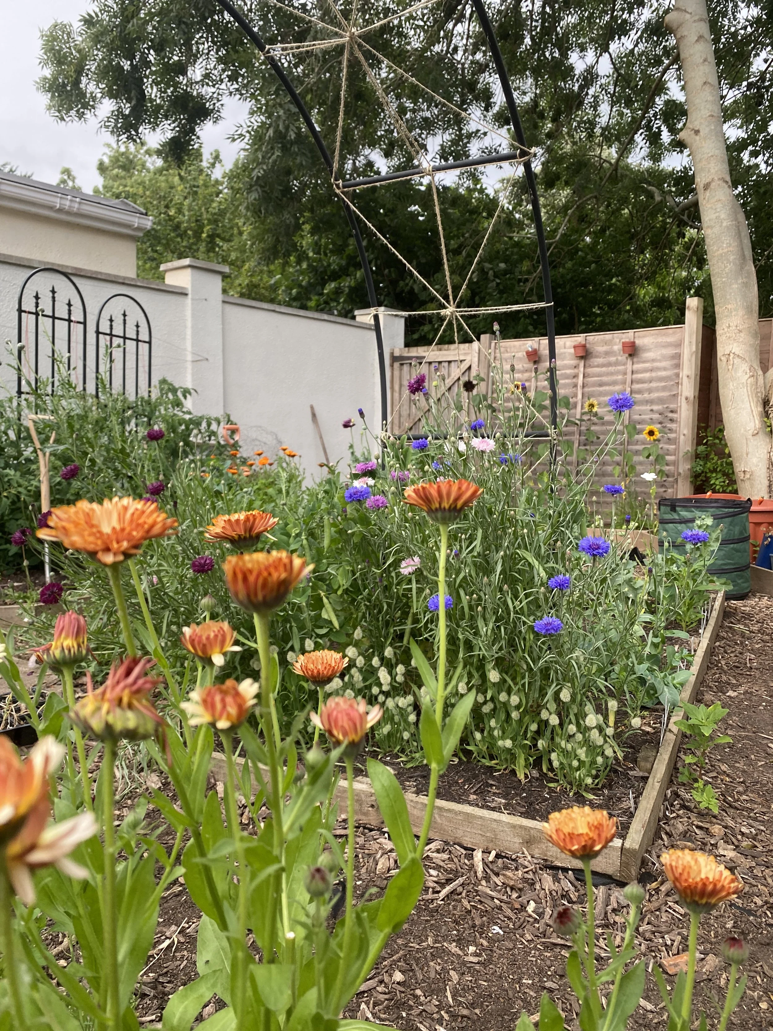 2025-06-22 20.07.21.jpg