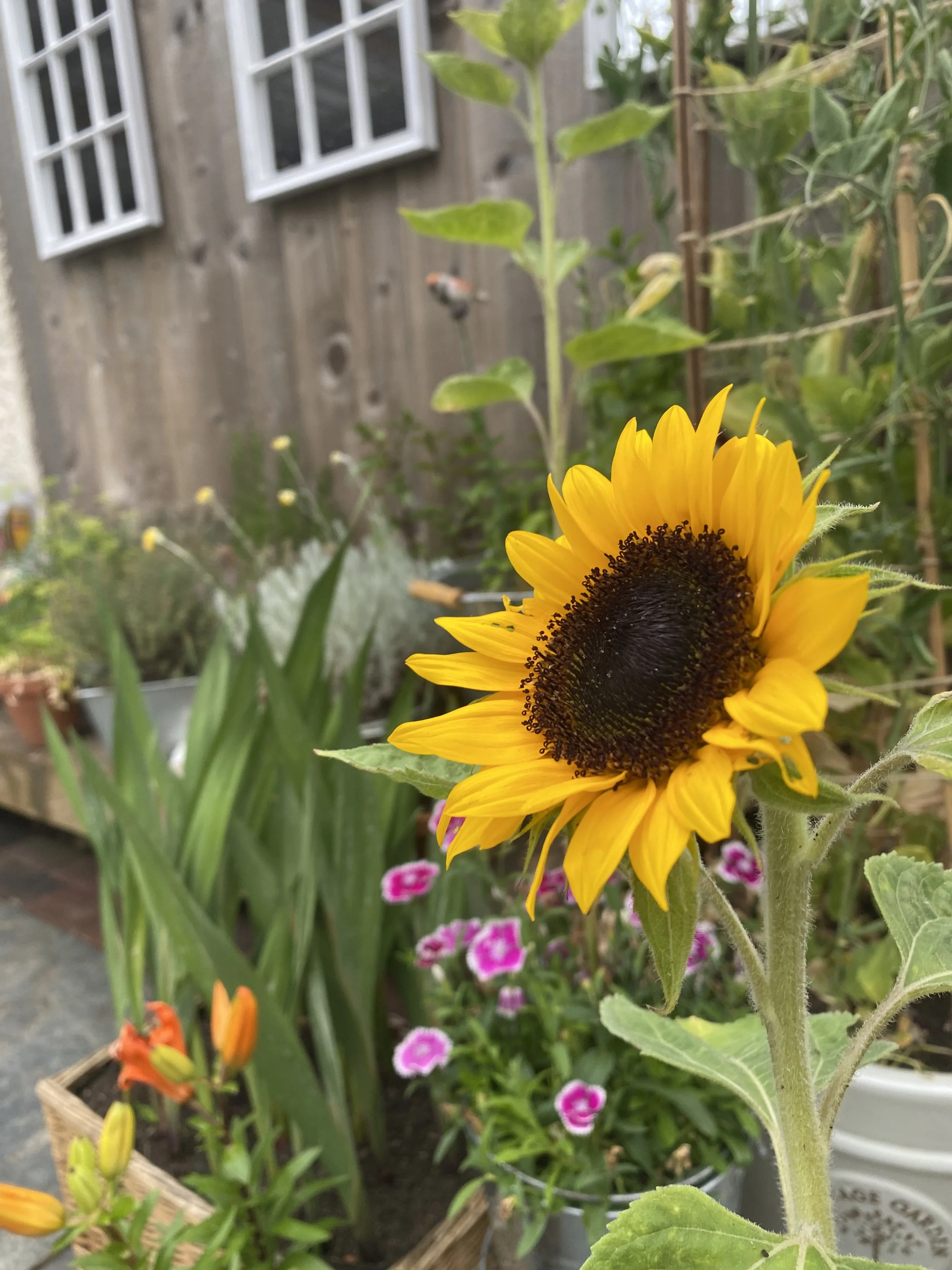 2025-06-22 20.06.39-1.jpg