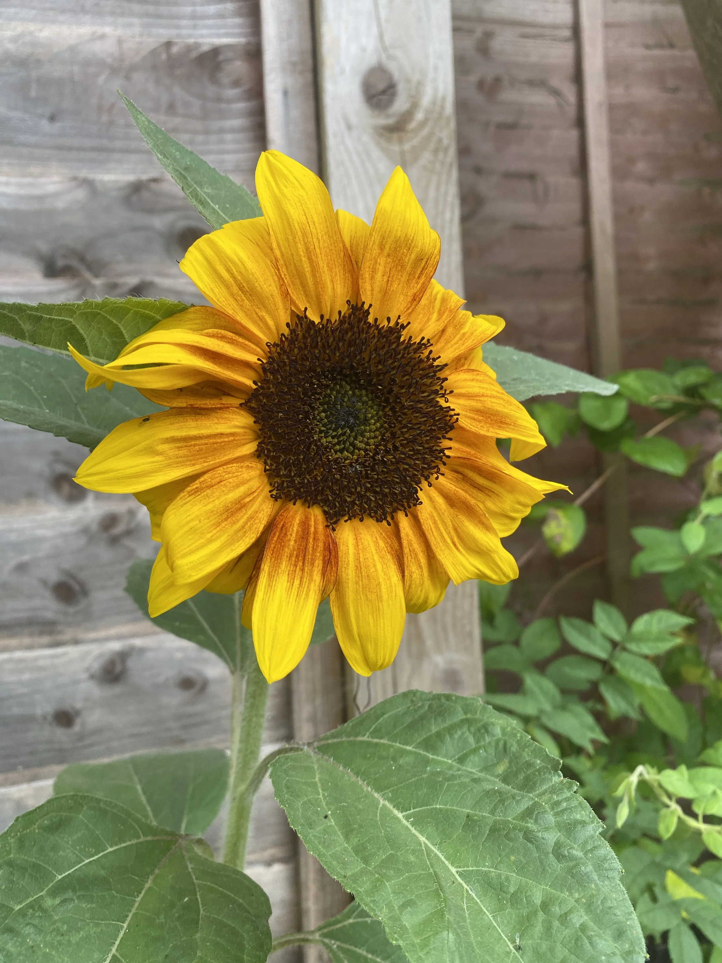 2025-06-21 08.23.45.jpg