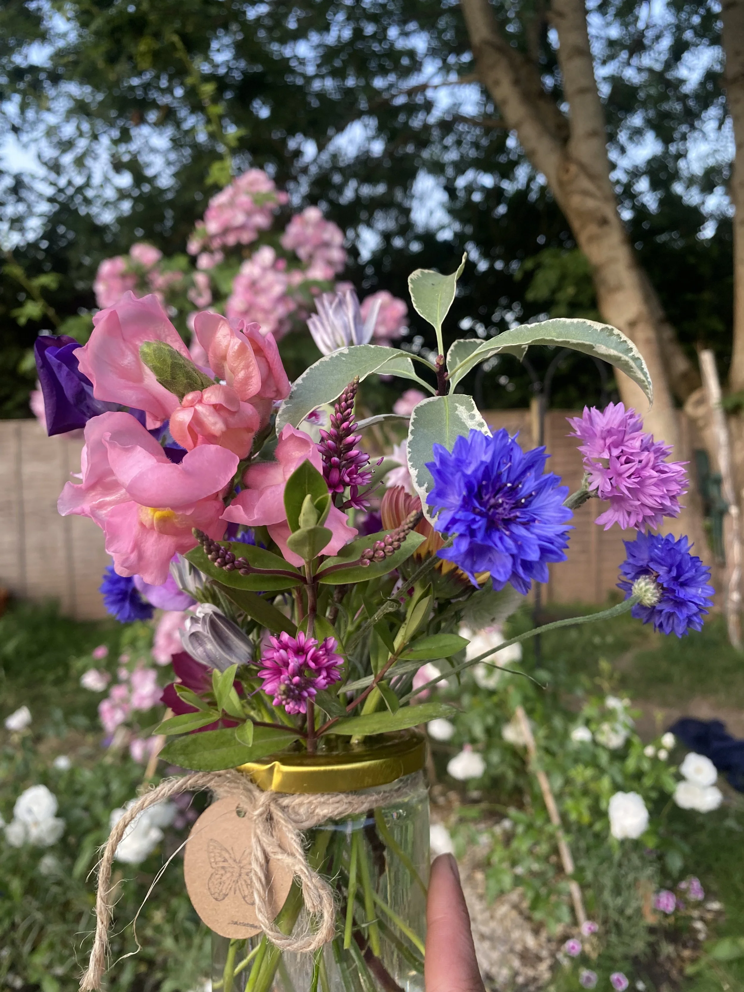 2025-06-17 21.08.11.jpg