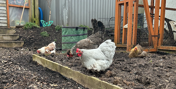 Screenshot 2026-04-25 at 19.28.26.png