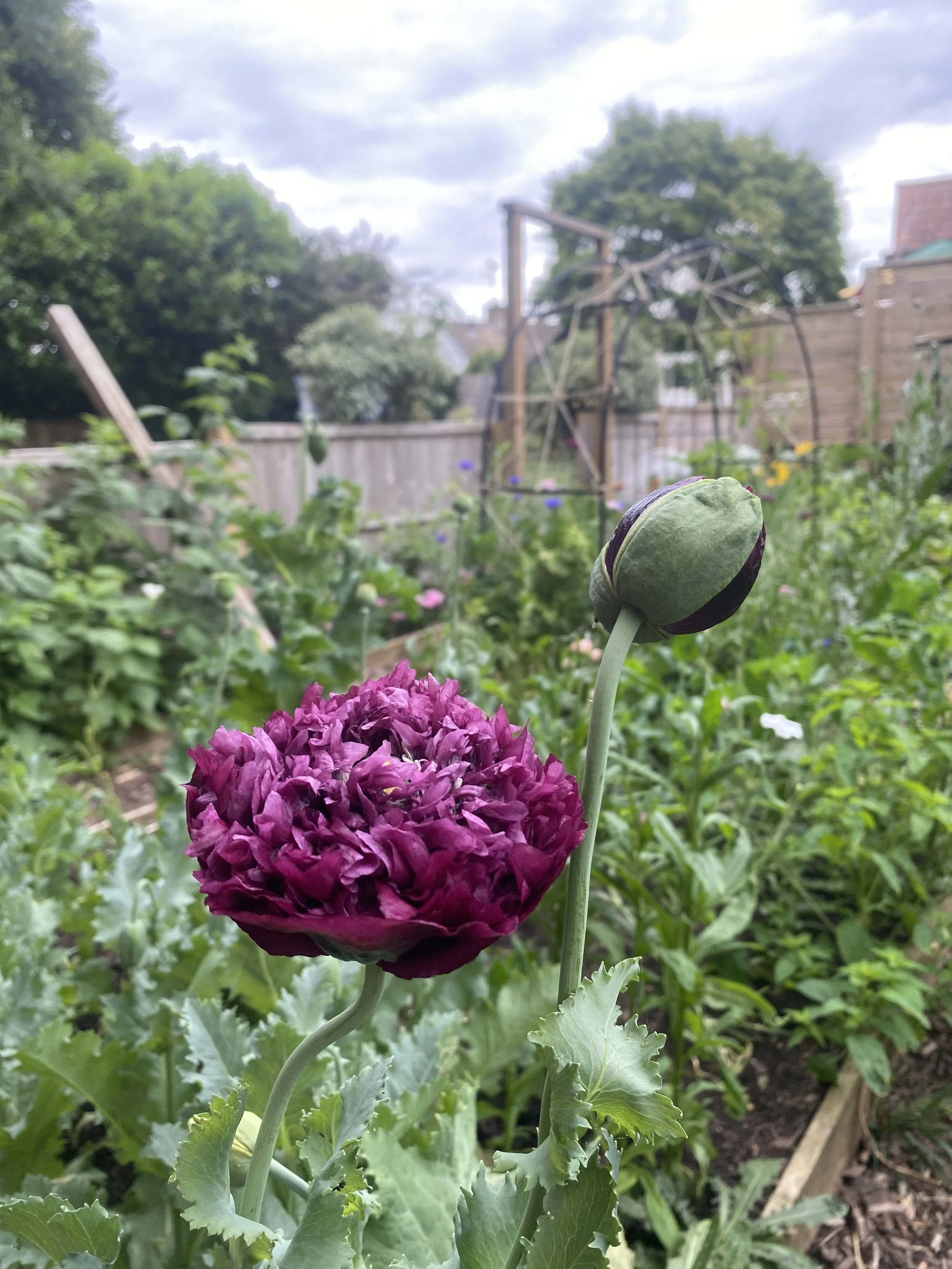 2025-06-21 08.24.00.jpg