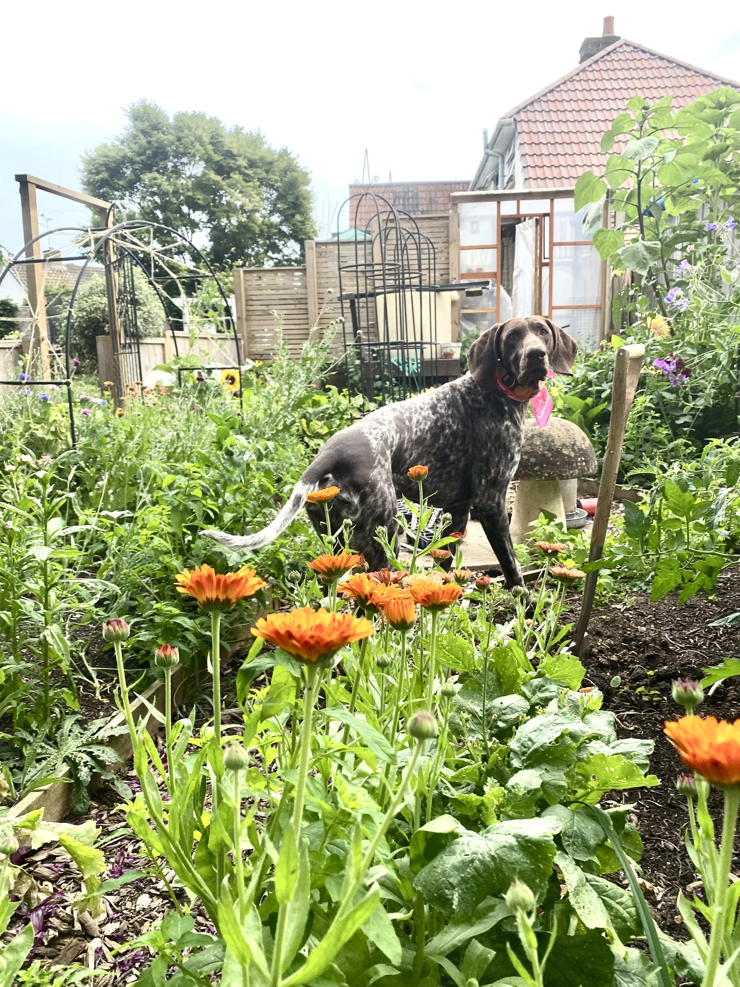 2025-06-22 20.08.29.jpg