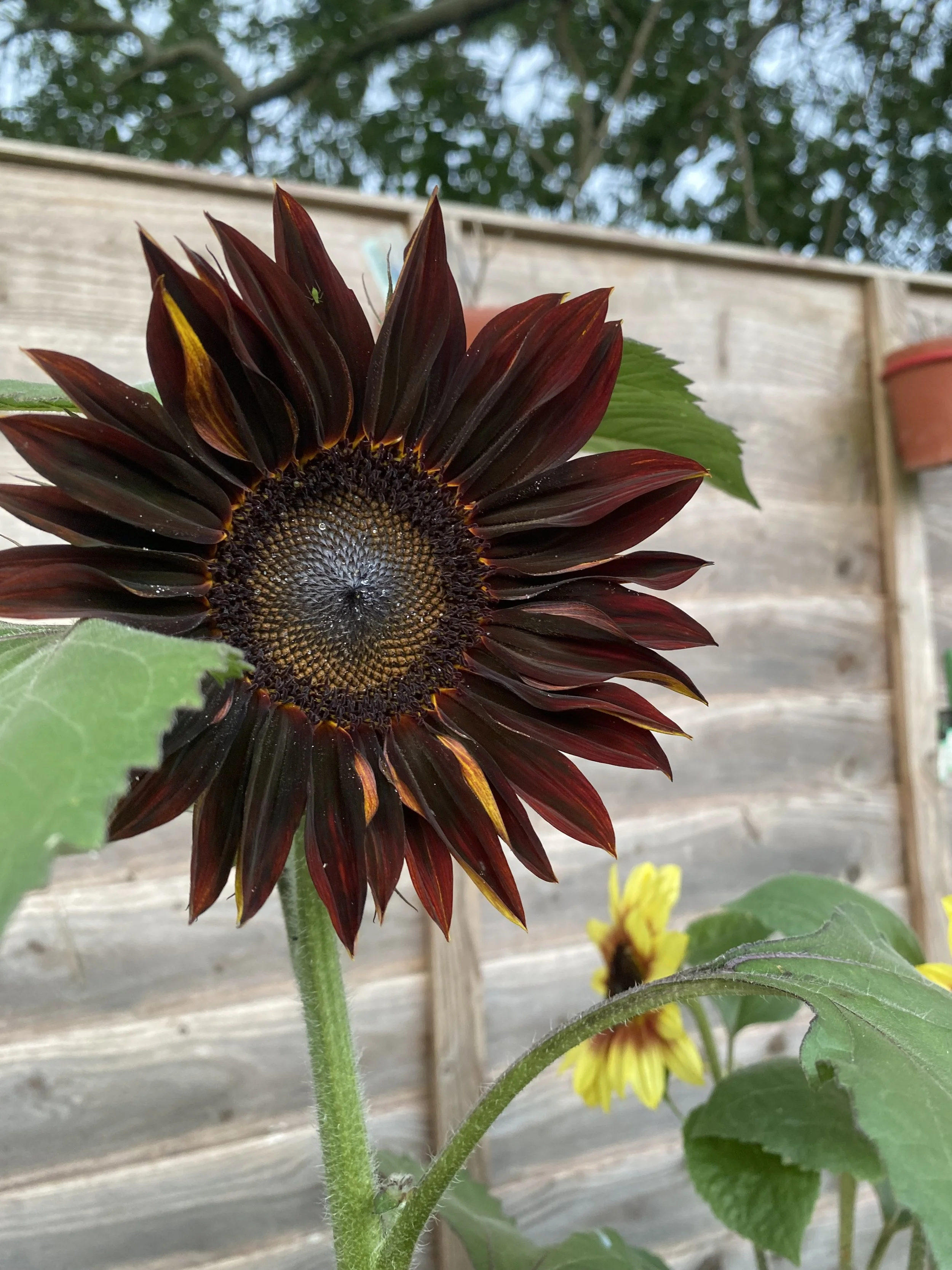 2025-06-22 20.08.10.jpg