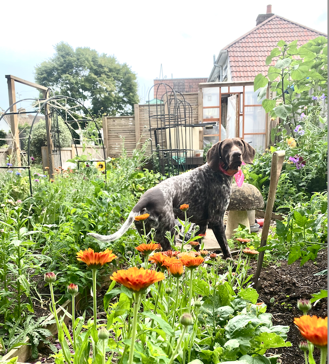 Screenshot 2025-09-30 at 13.51.58.png