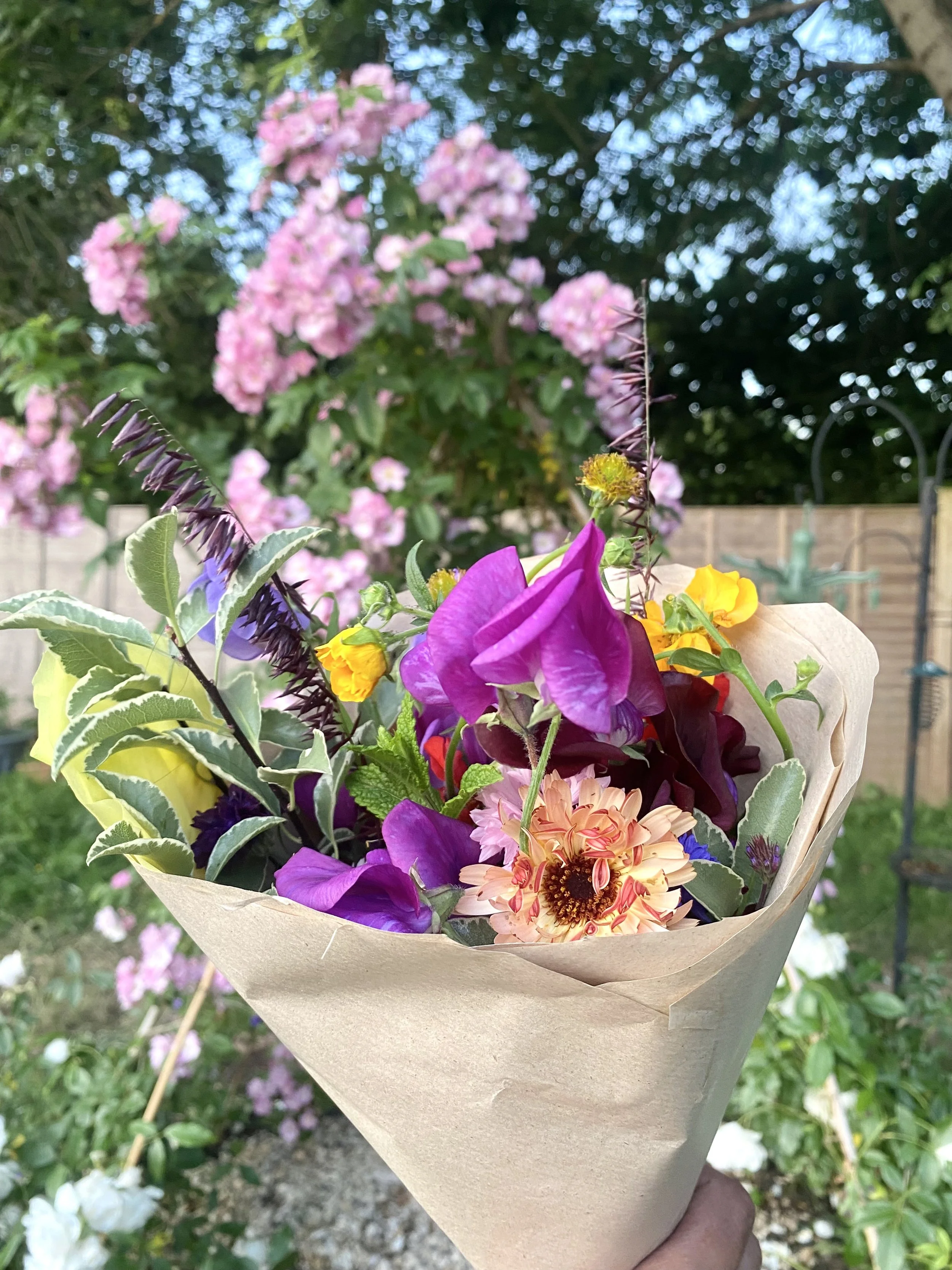 2025-06-17 21.10.16.jpg