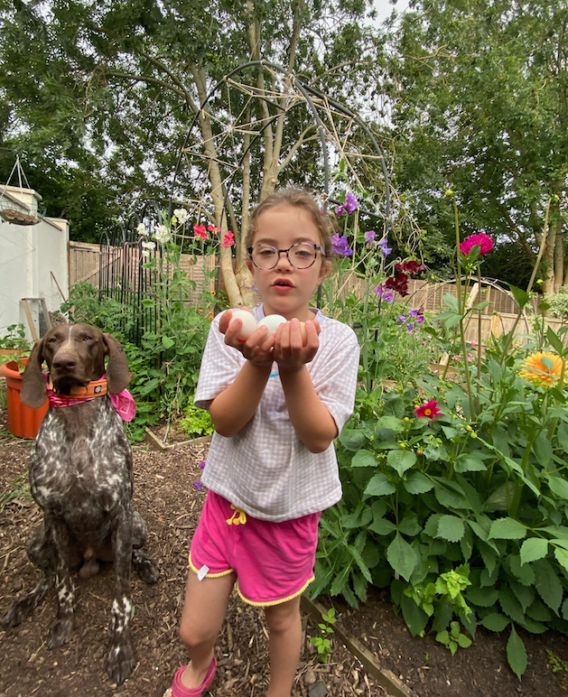 Screenshot 2026-04-25 at 19.26.07.png