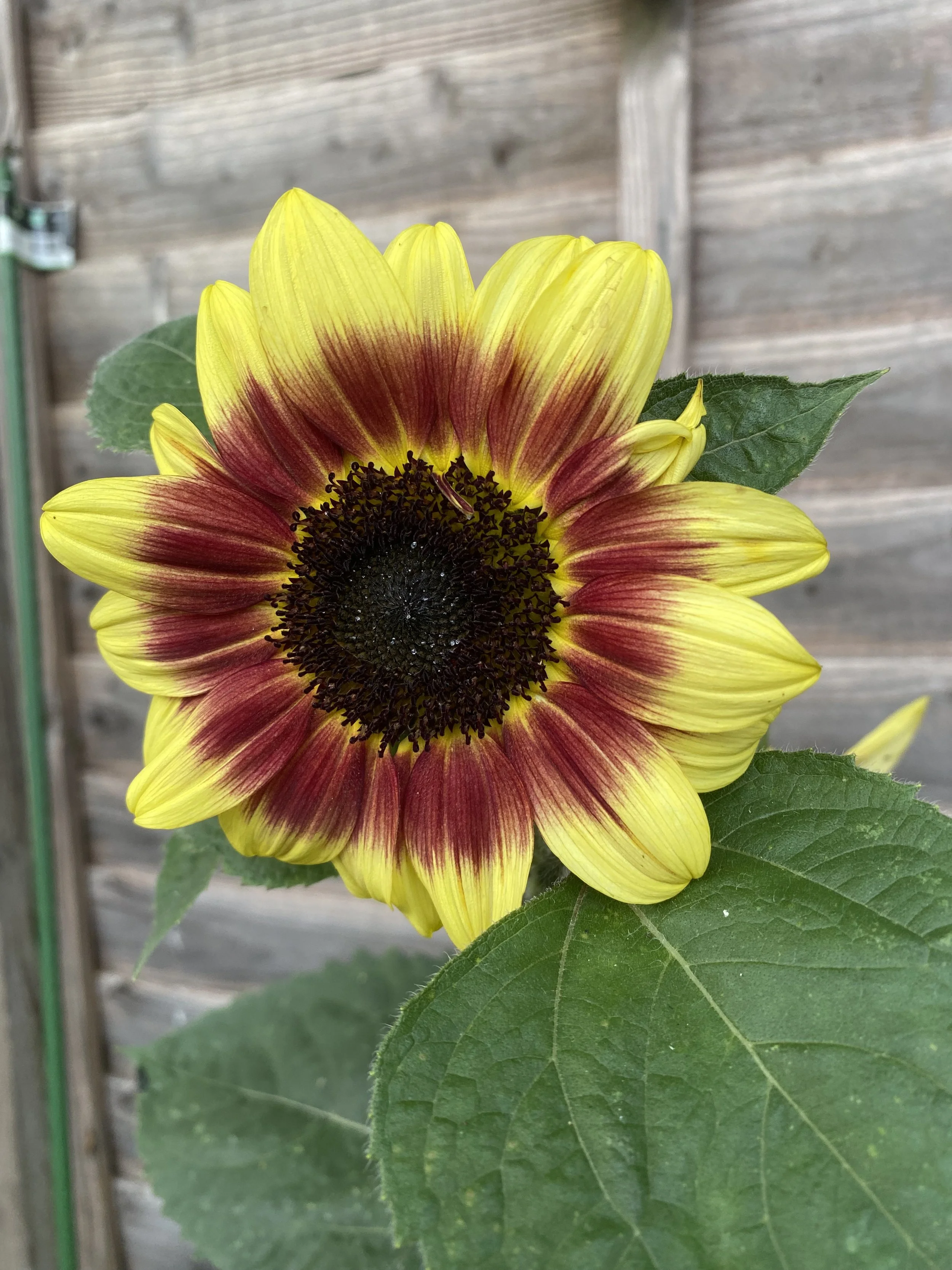 2025-06-22 20.08.17.jpg