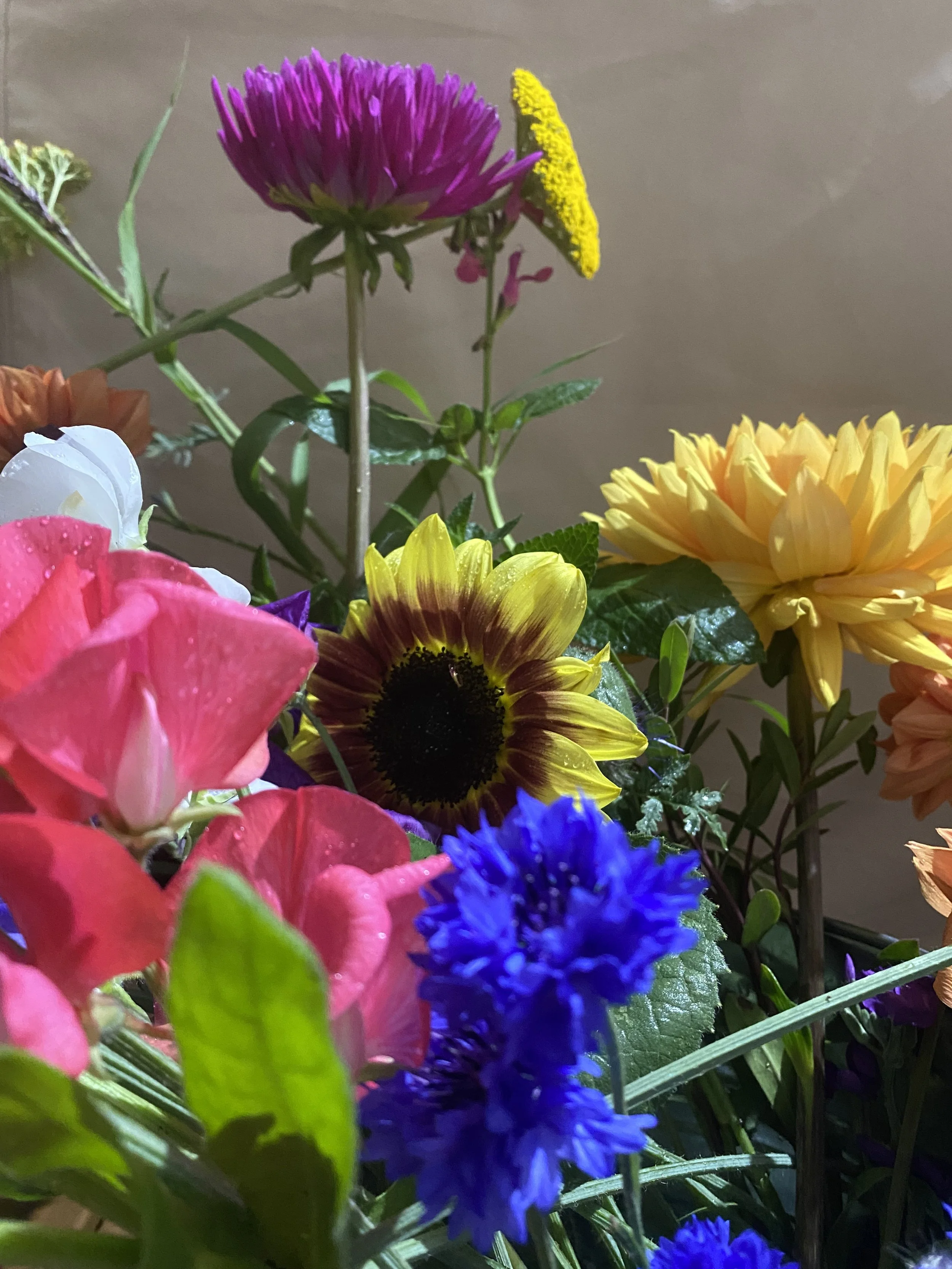 2025-06-22 21.30.40.jpg