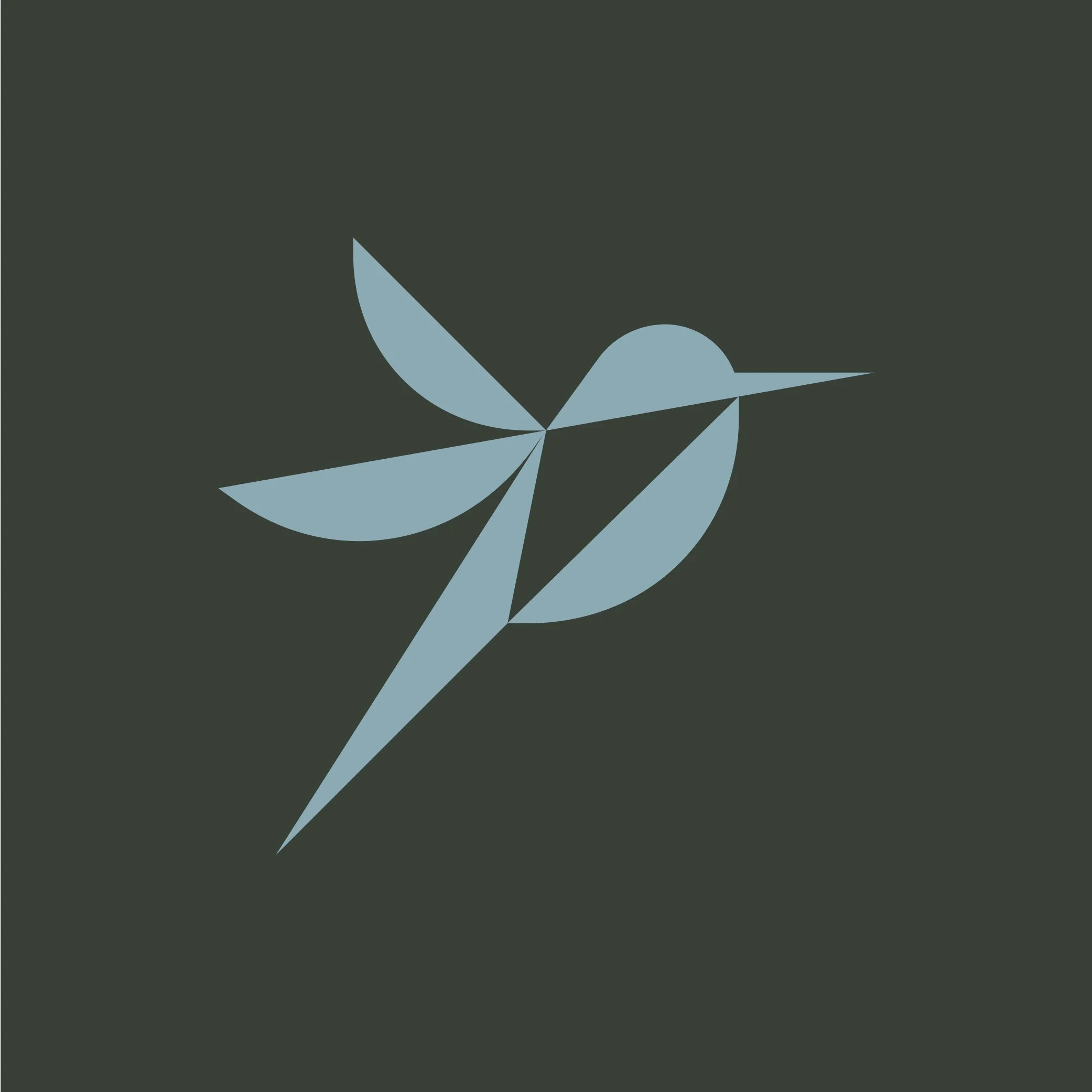 Abstract minimalist illustration of a hummingbird with wing and body in light blue against dark background.