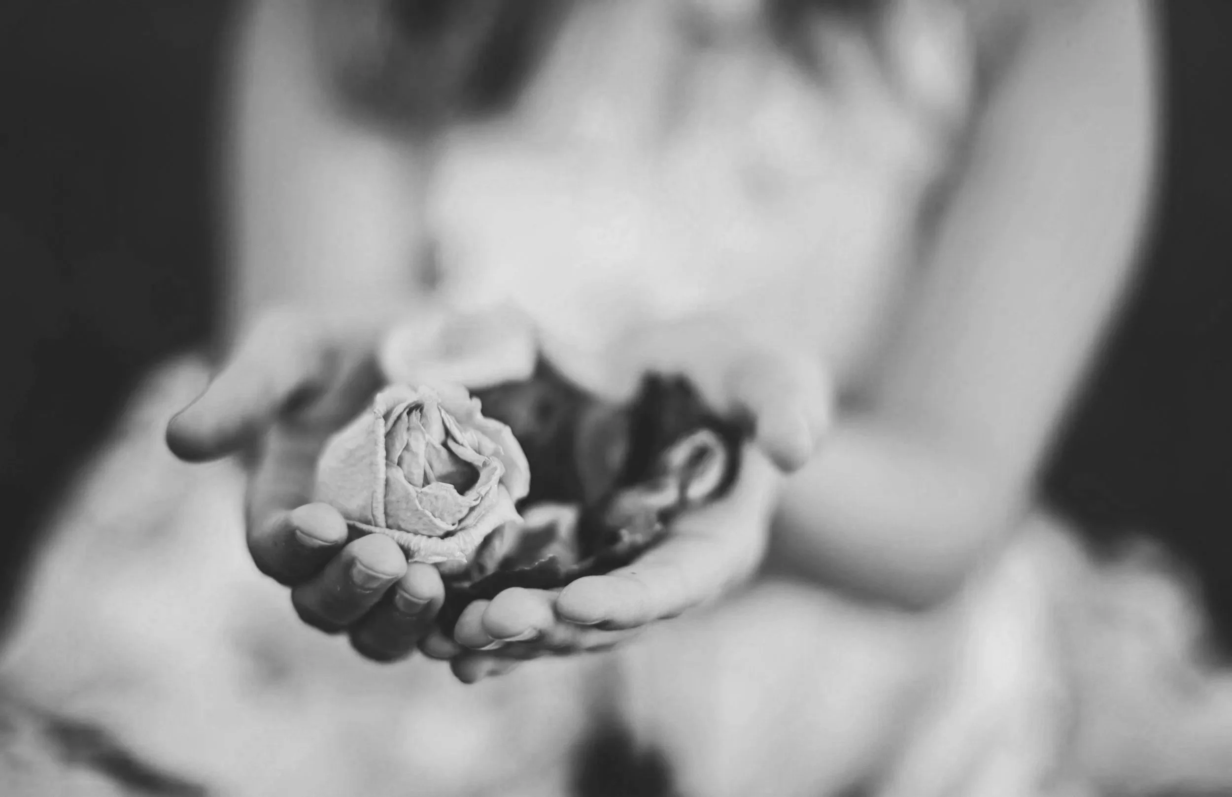 unsplash-image-roY7Lf1Zxl8.jpg