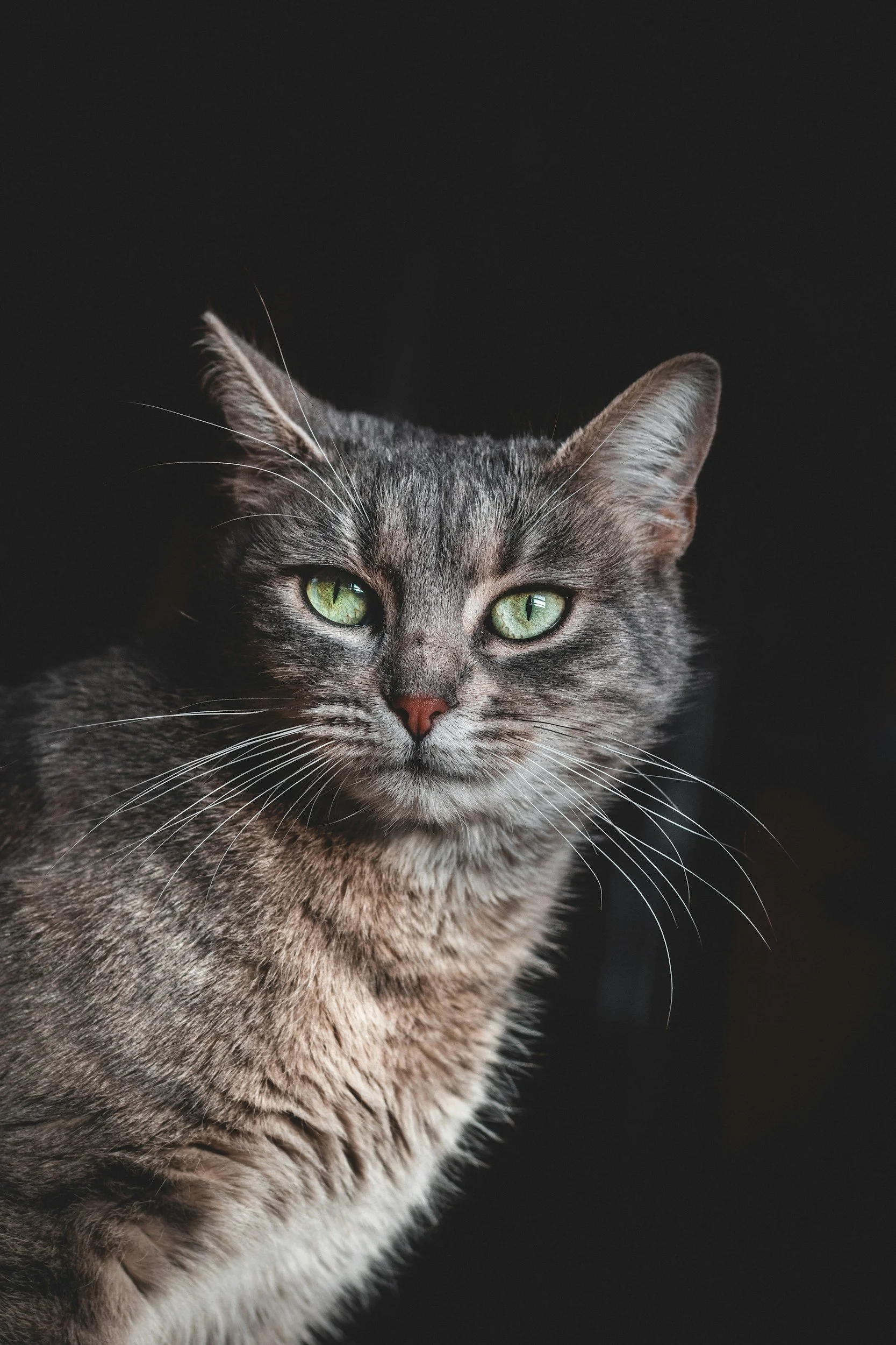 unsplash-image-74TmvN2xMgU.jpg