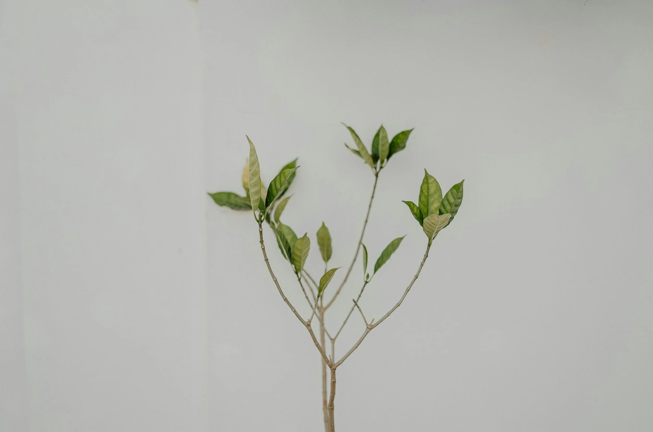 unsplash-image-zbIJIr2E23c.jpg