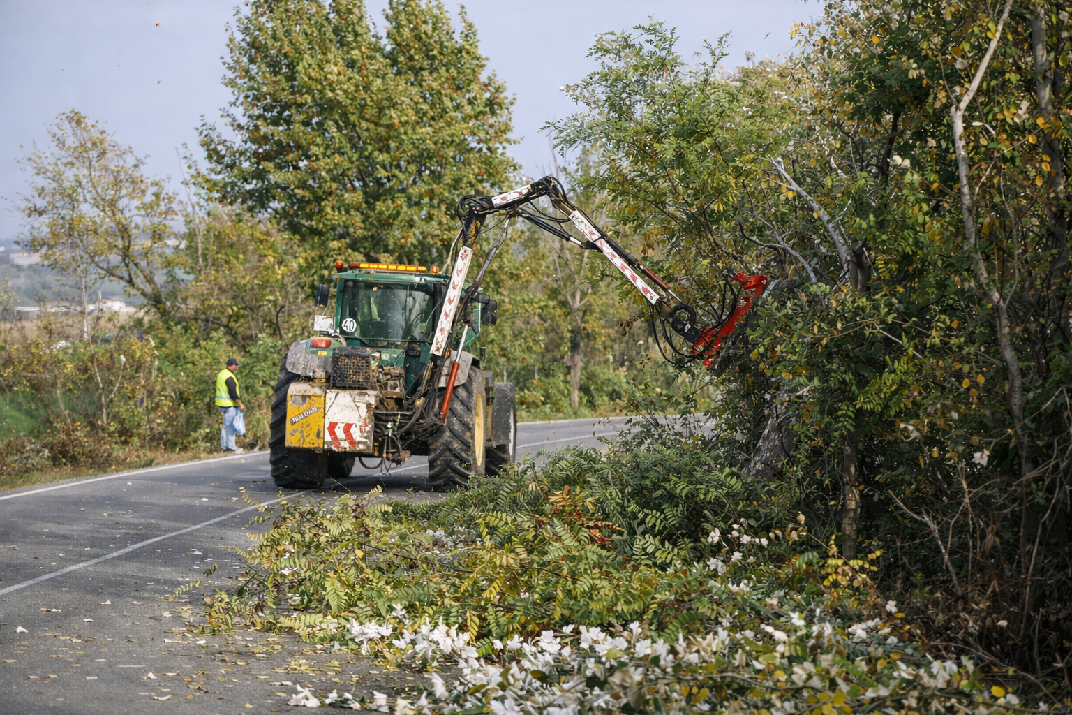 prepodadora discos Triginer corte limpio de ramas