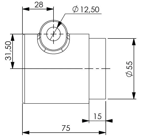 Hembra estriada 1_3-4 Z20_cotas.JPG