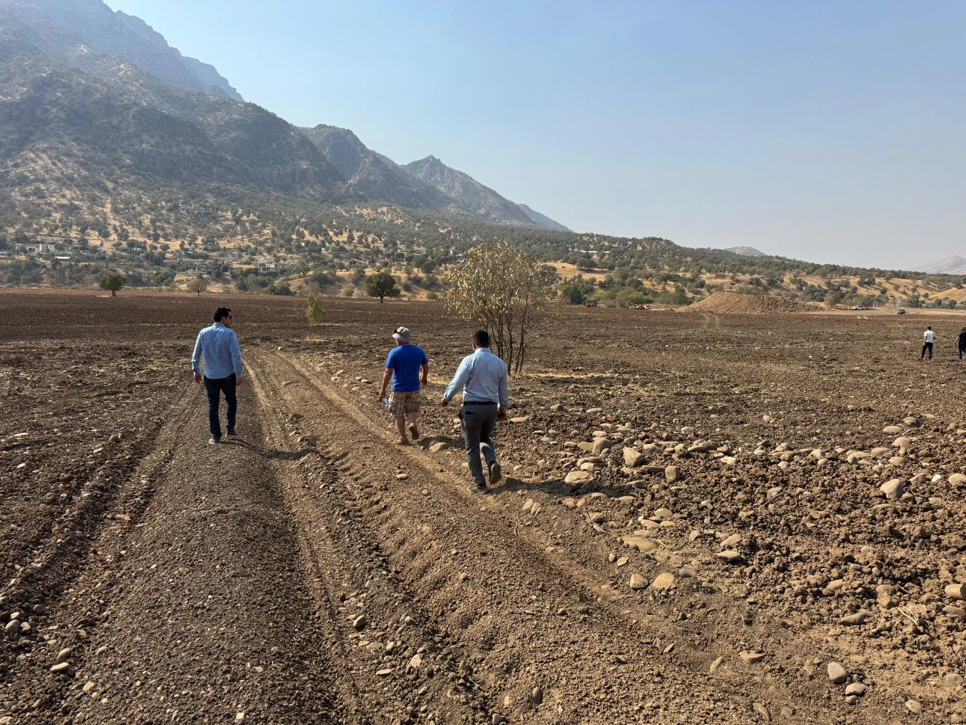 daf7a51b-e252-4522-9ccd-f639123e4be8.jfif