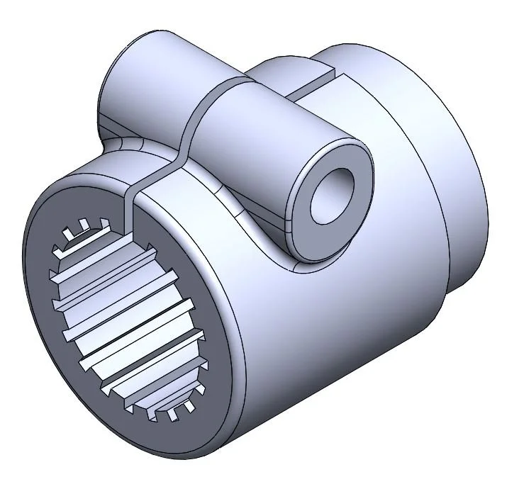 Hembra estriada 1_3-4 Z20.JPG