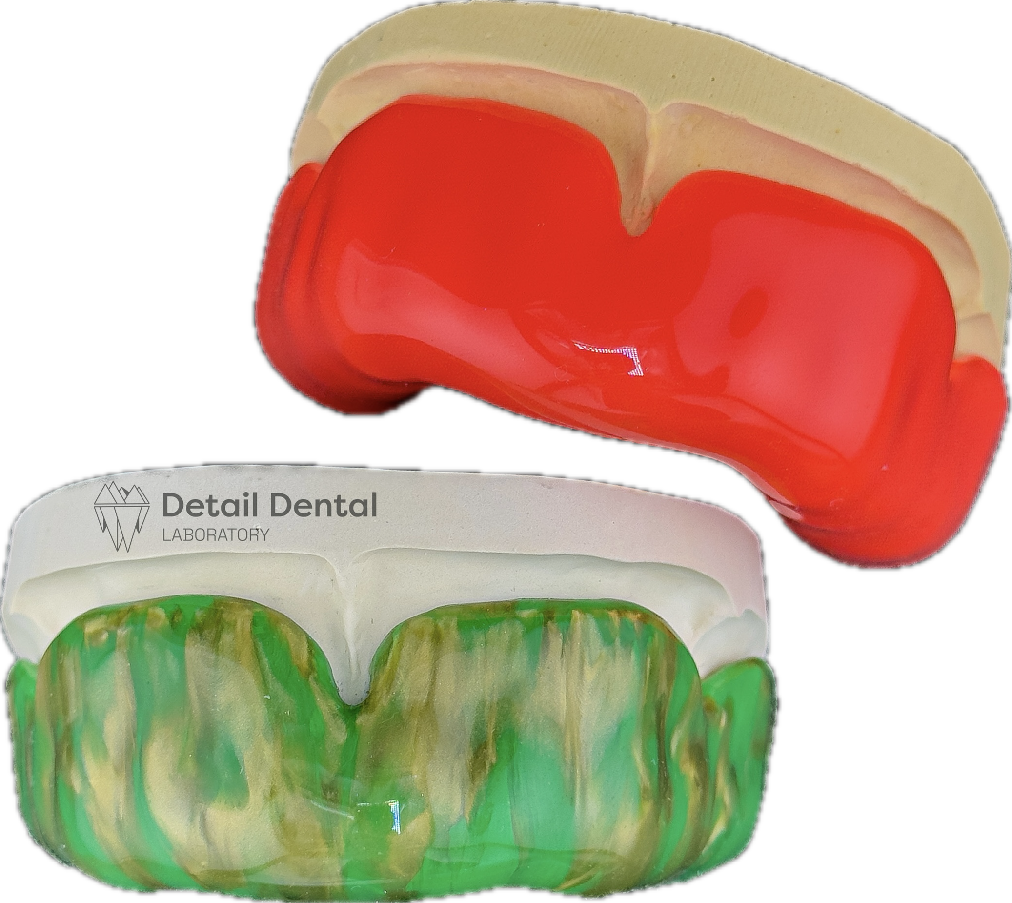 Two dental models: one with a red and cream-colored section, the other with a green and yellow marbled pattern, labeled 'Detail Dental Laboratory'.