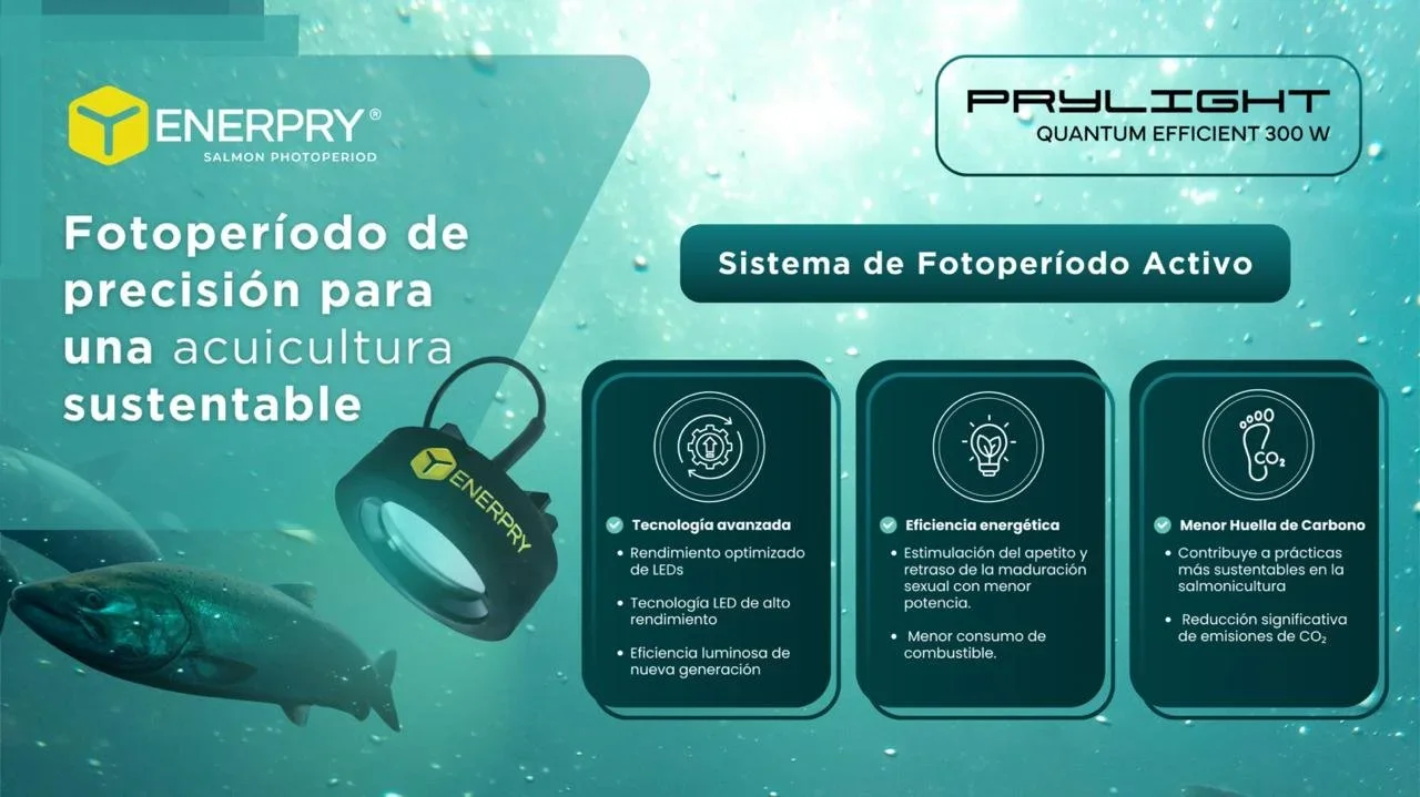 Prylight Quantum Efficient 300W: Fotoperíodo de precisión para una salmonicultura sustentable