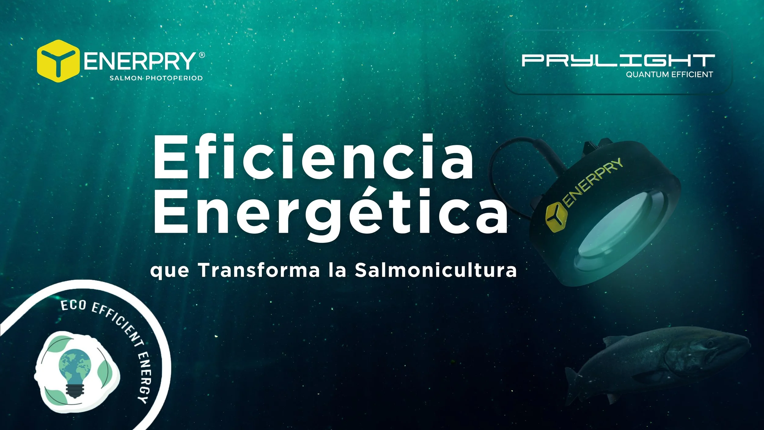 Día Mundial de la Eficiencia Energética: El Impacto de los 300W de Enerpry en la Salmonicultura