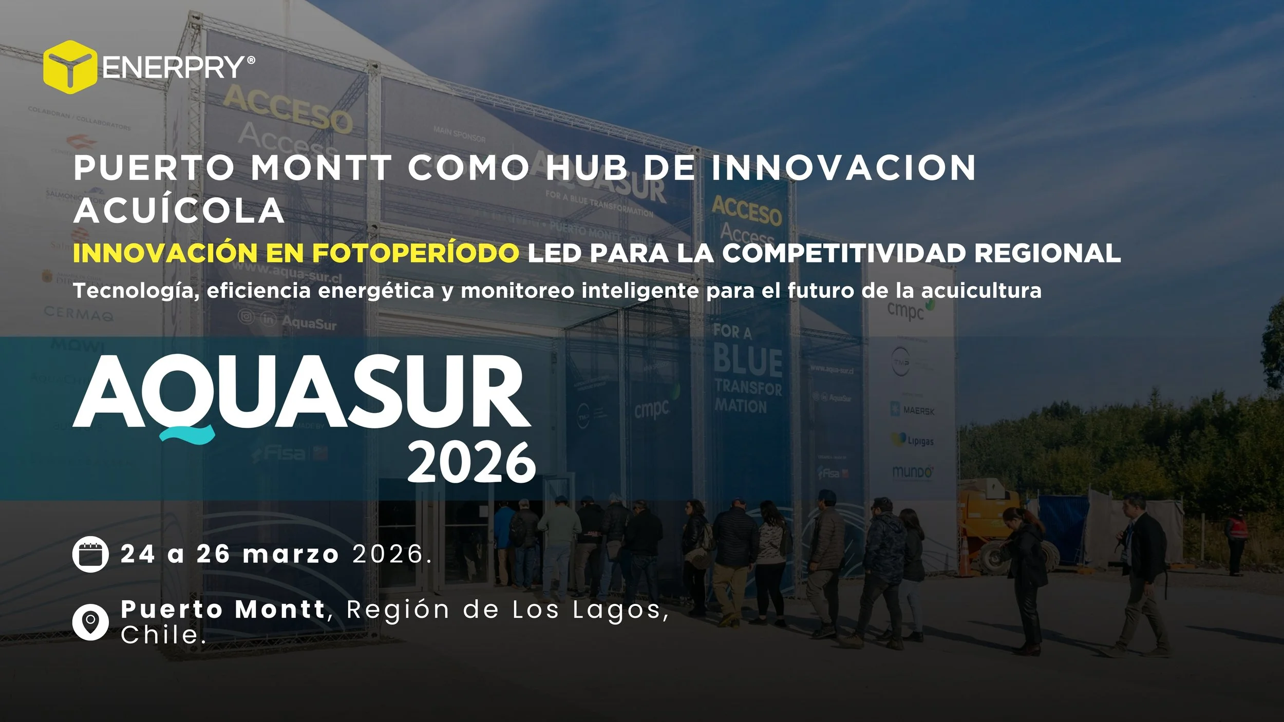 Puerto Montt: El Hub de Innovación Acuícola que Traspasa Fronteras en AQUASUR 2026
