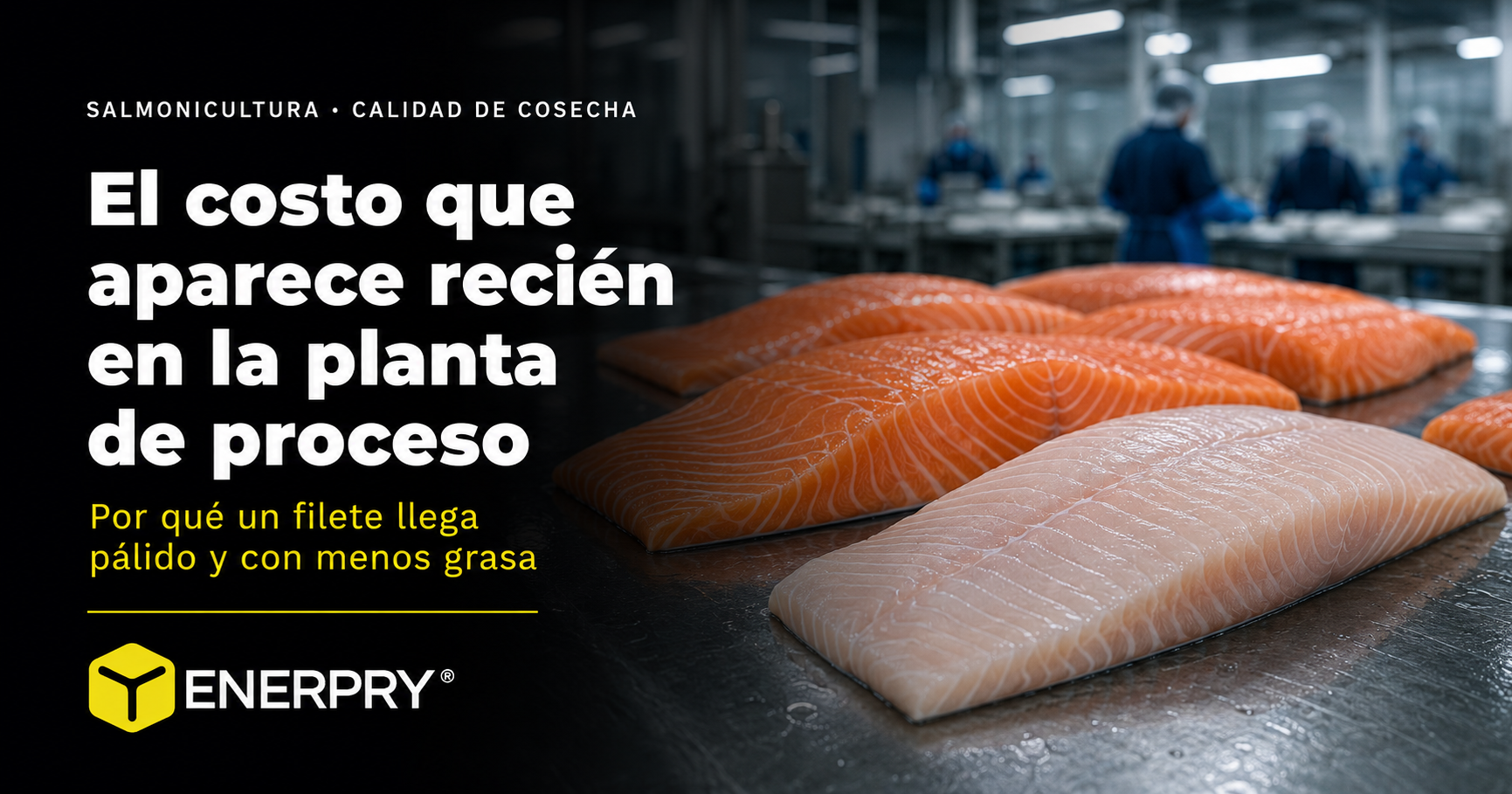 El costo que aparece recién en la planta de proceso